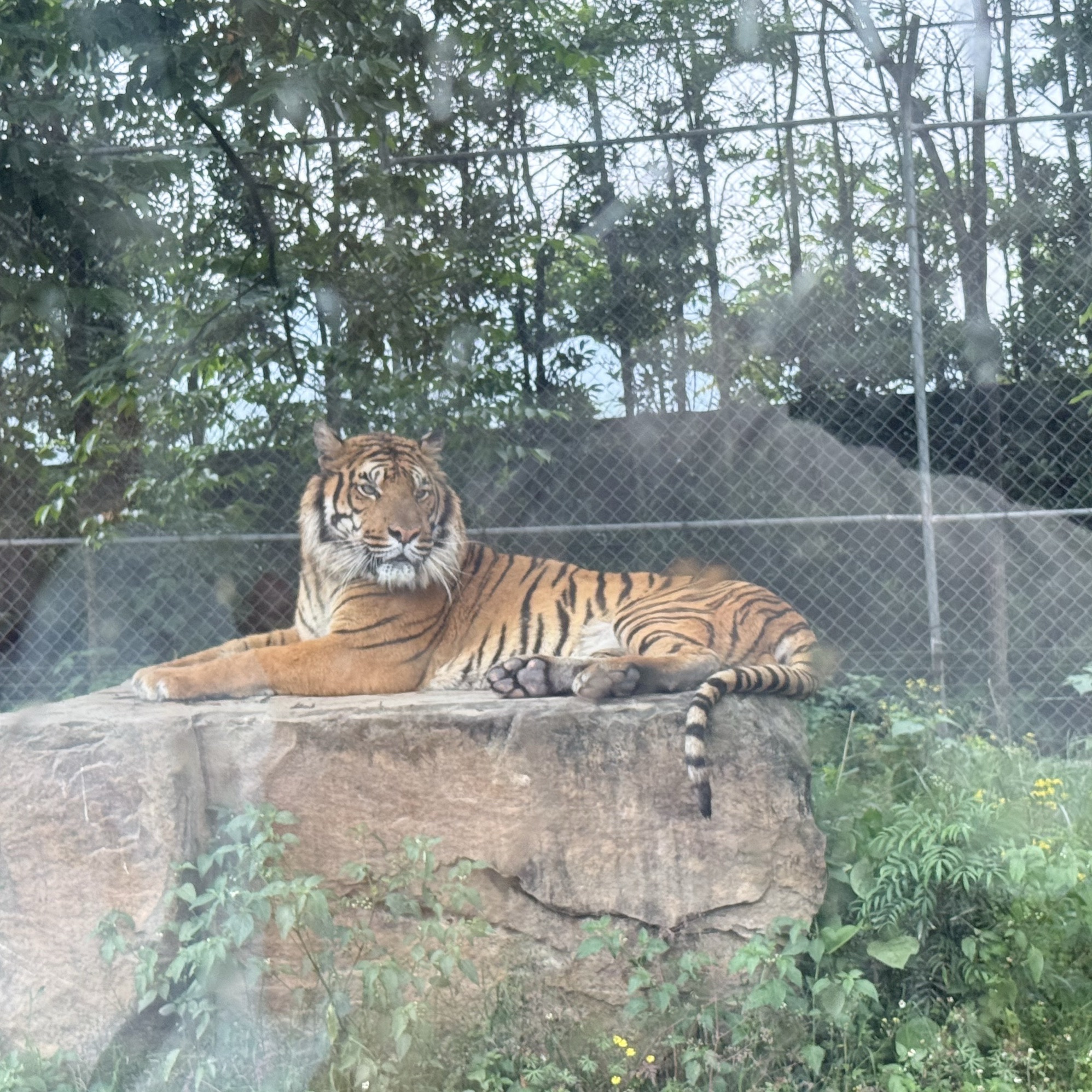 乐和乐都动物主题乐园旅行图片 3