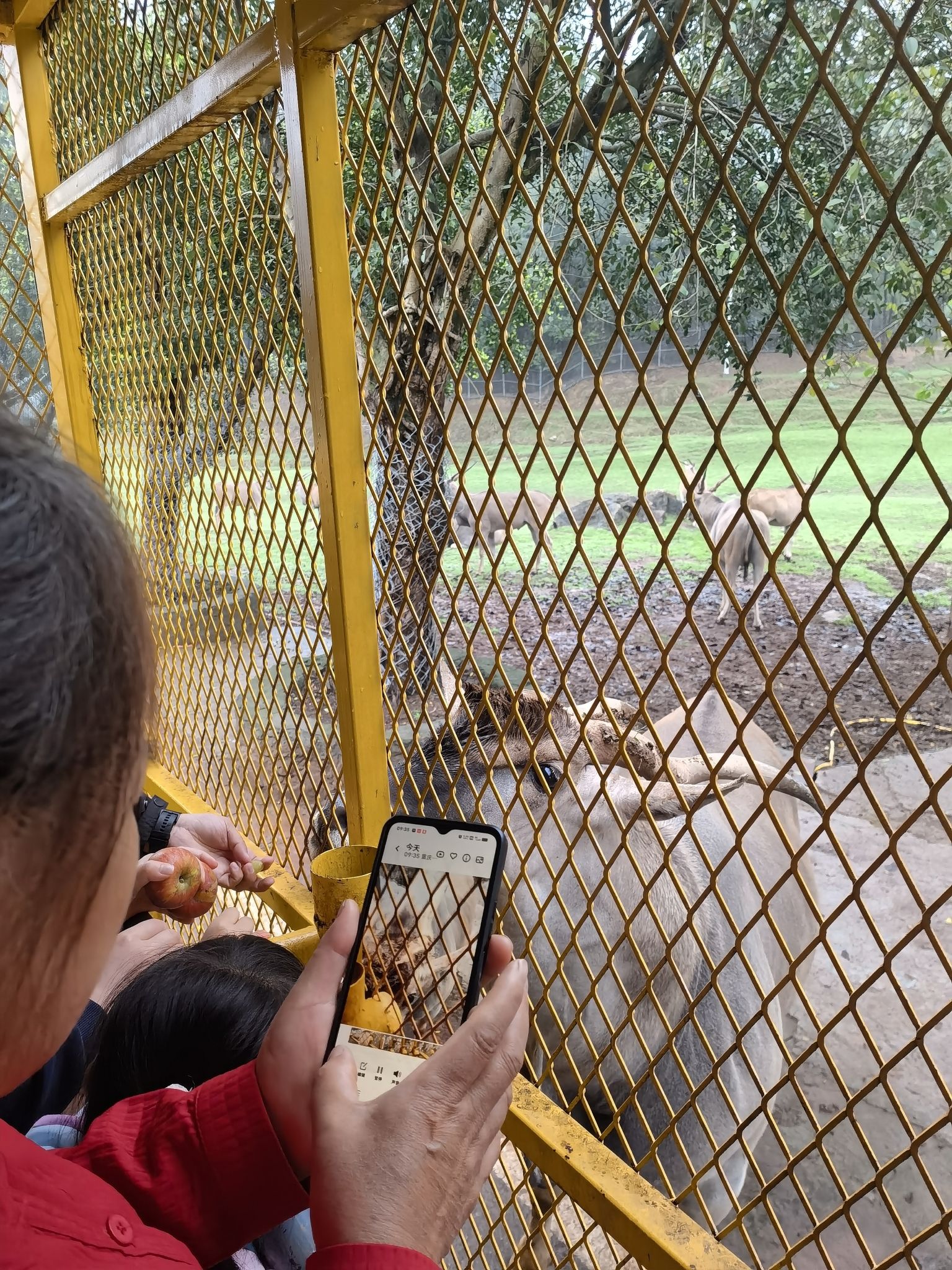 乐和乐都动物主题乐园旅行图片 2