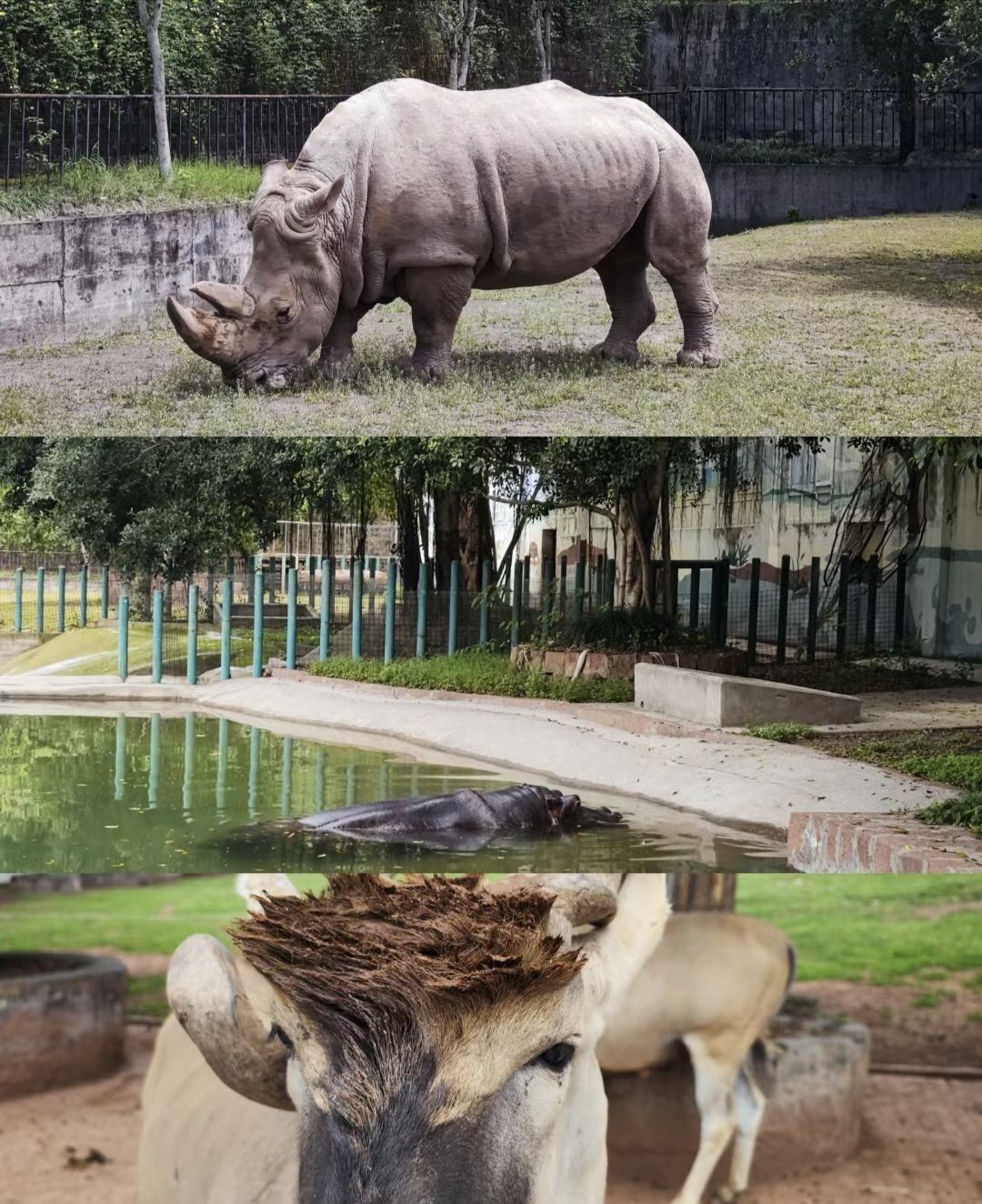 乐和乐都动物主题乐园旅行图片 2
