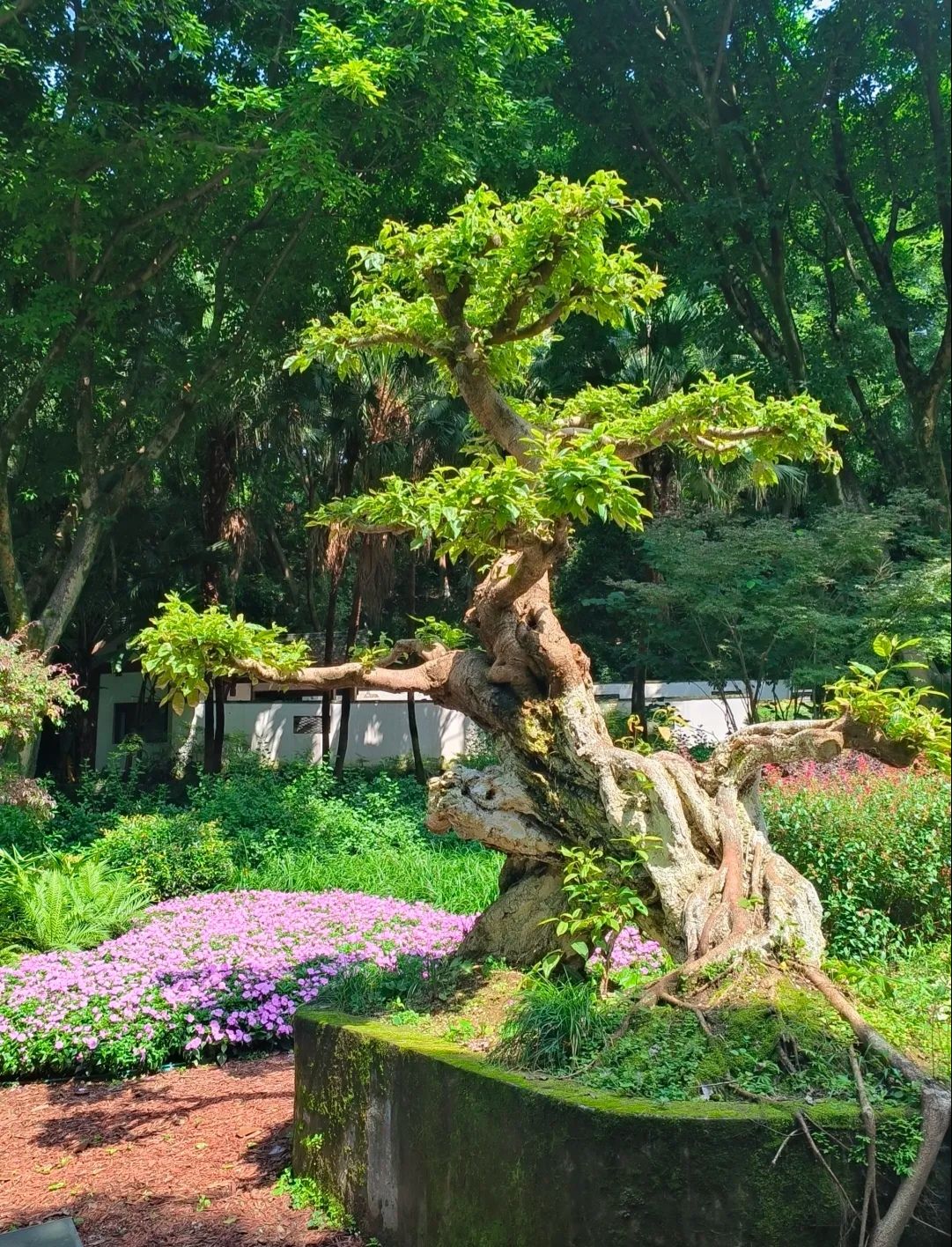 石门公园旅行图片 2