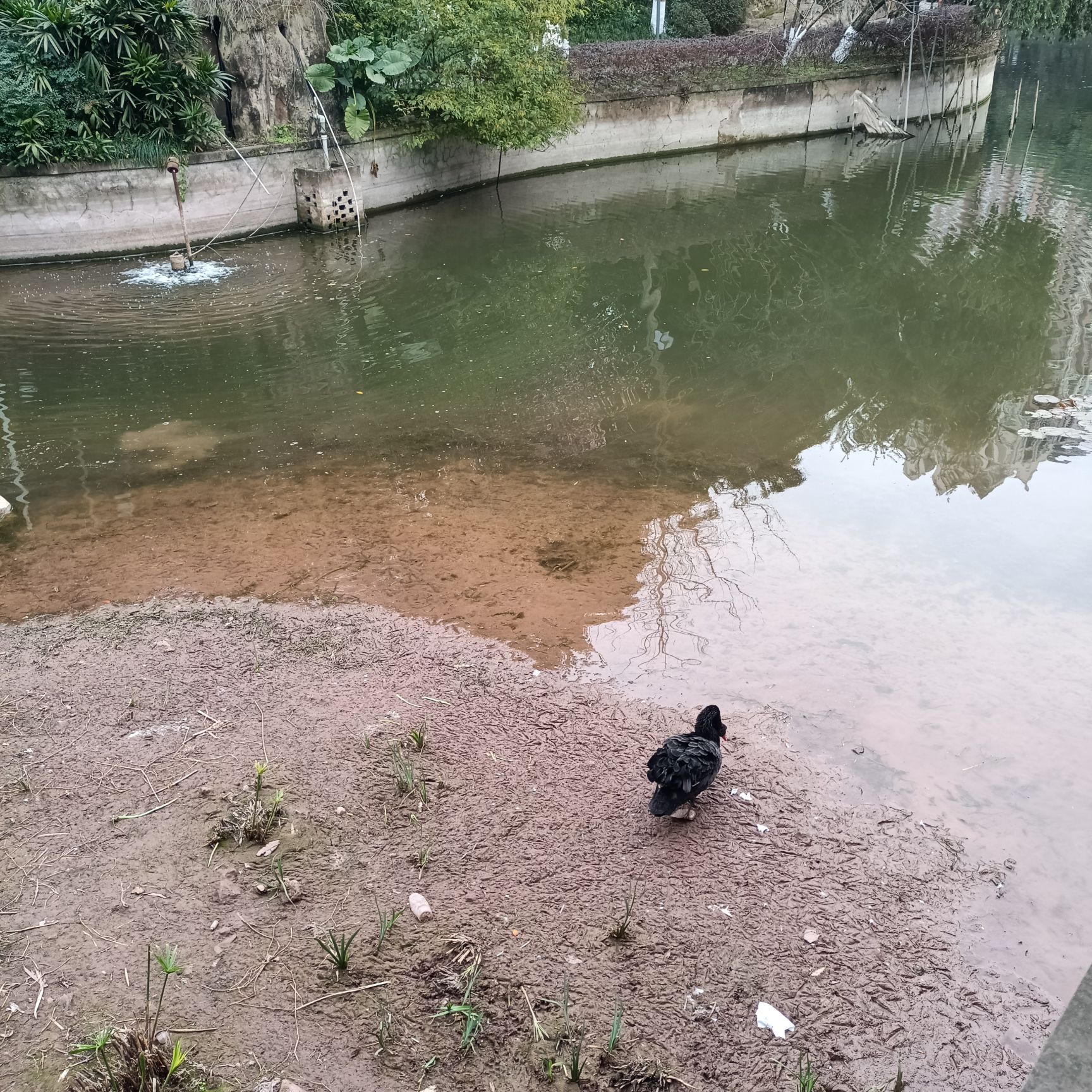 石门公园旅行图片 1