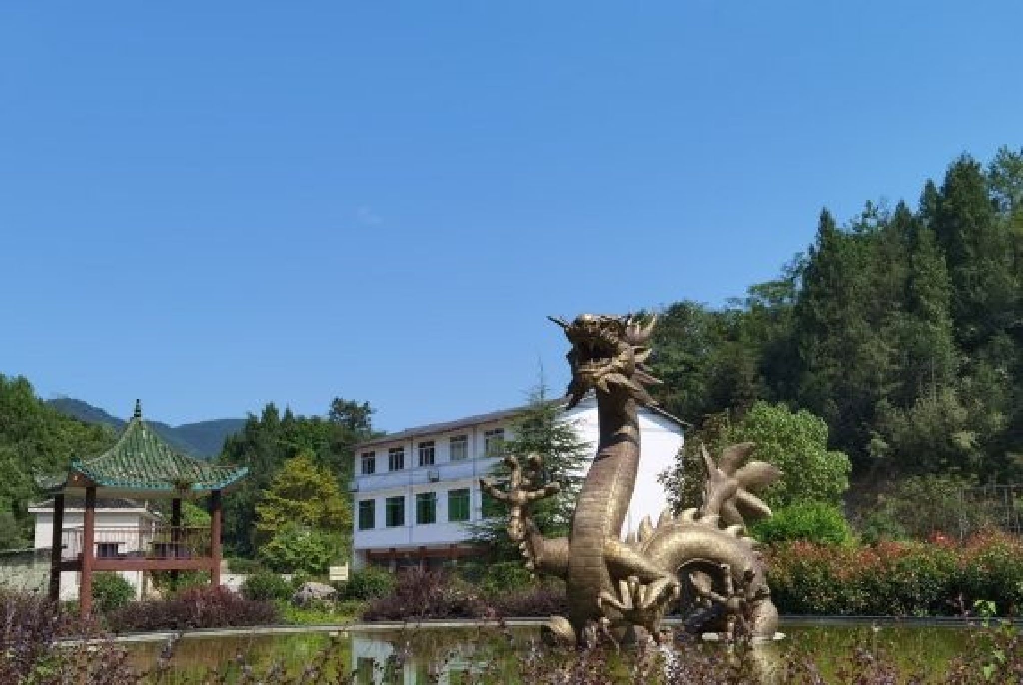 蟠龙洞风景区旅行图片 1
