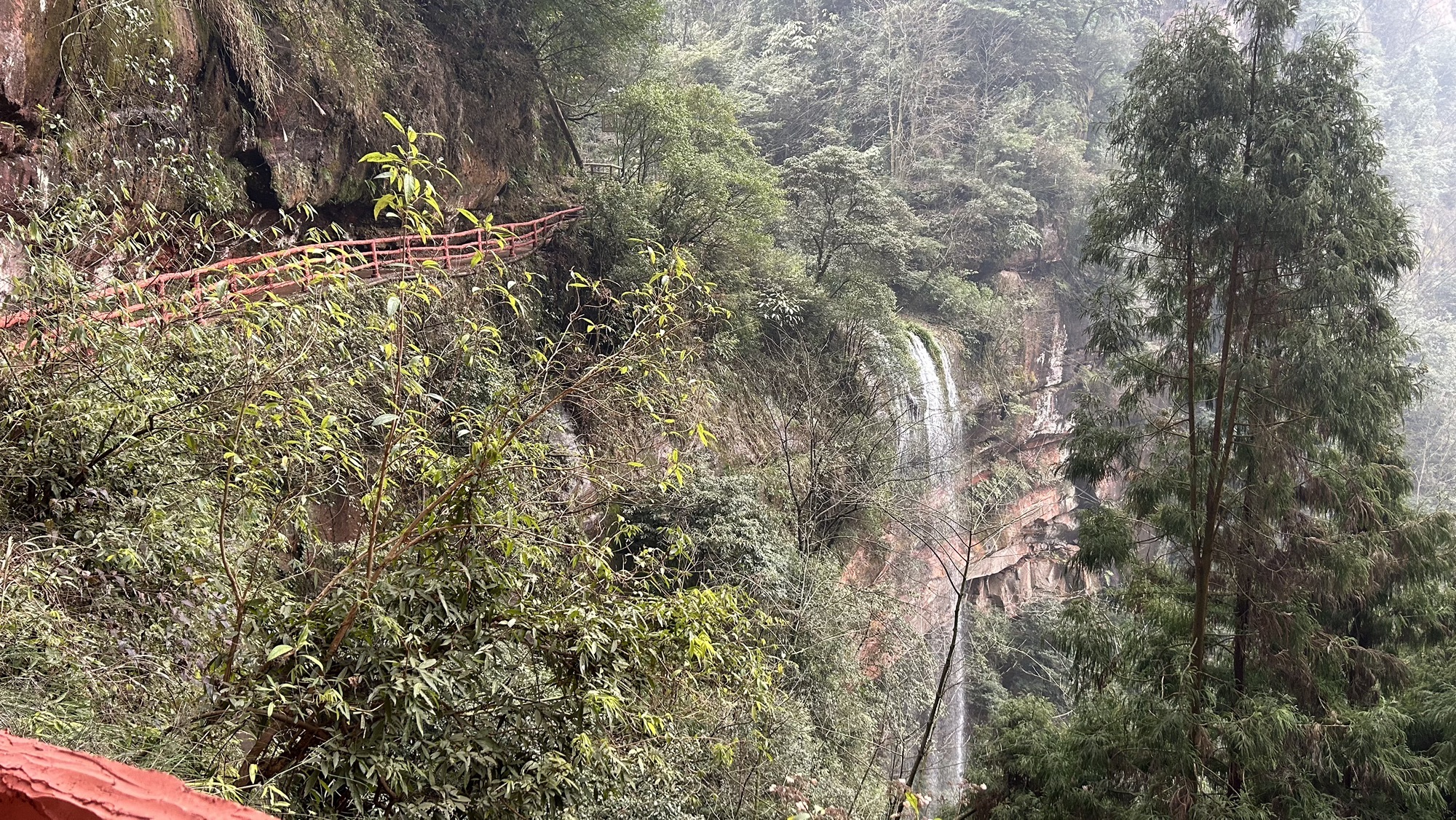 大圆洞国家森林公园旅行图片 2