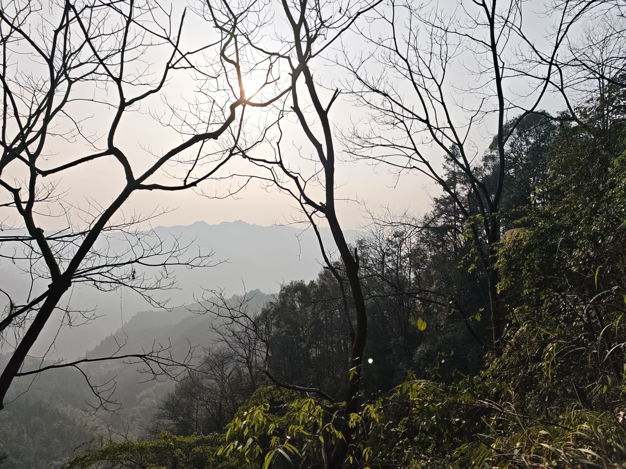 大圆洞国家森林公园旅行图片 3