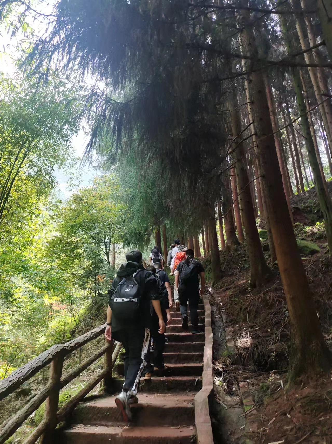 大圆洞国家森林公园旅行图片 2