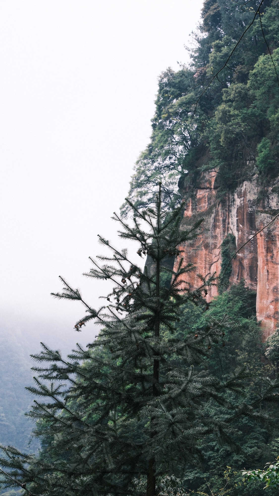 大圆洞国家森林公园旅行图片 3
