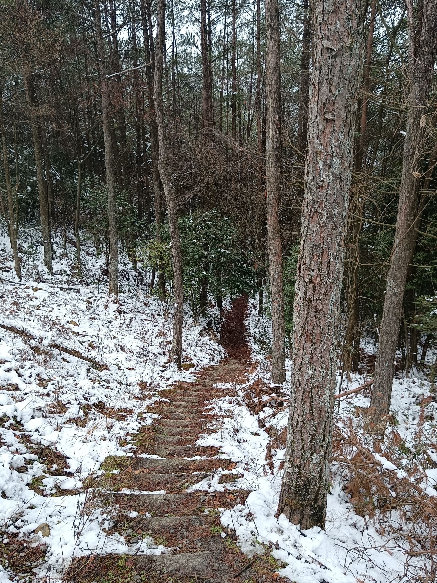 铁峰山国家森林公园旅行图片 3