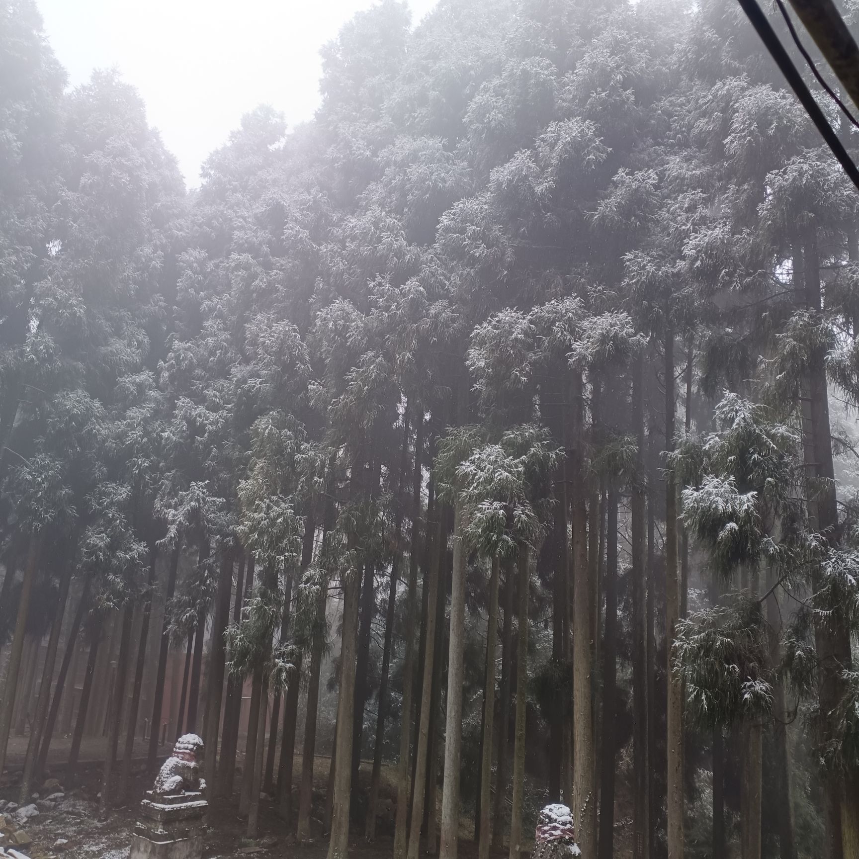铁峰山国家森林公园旅行图片 2