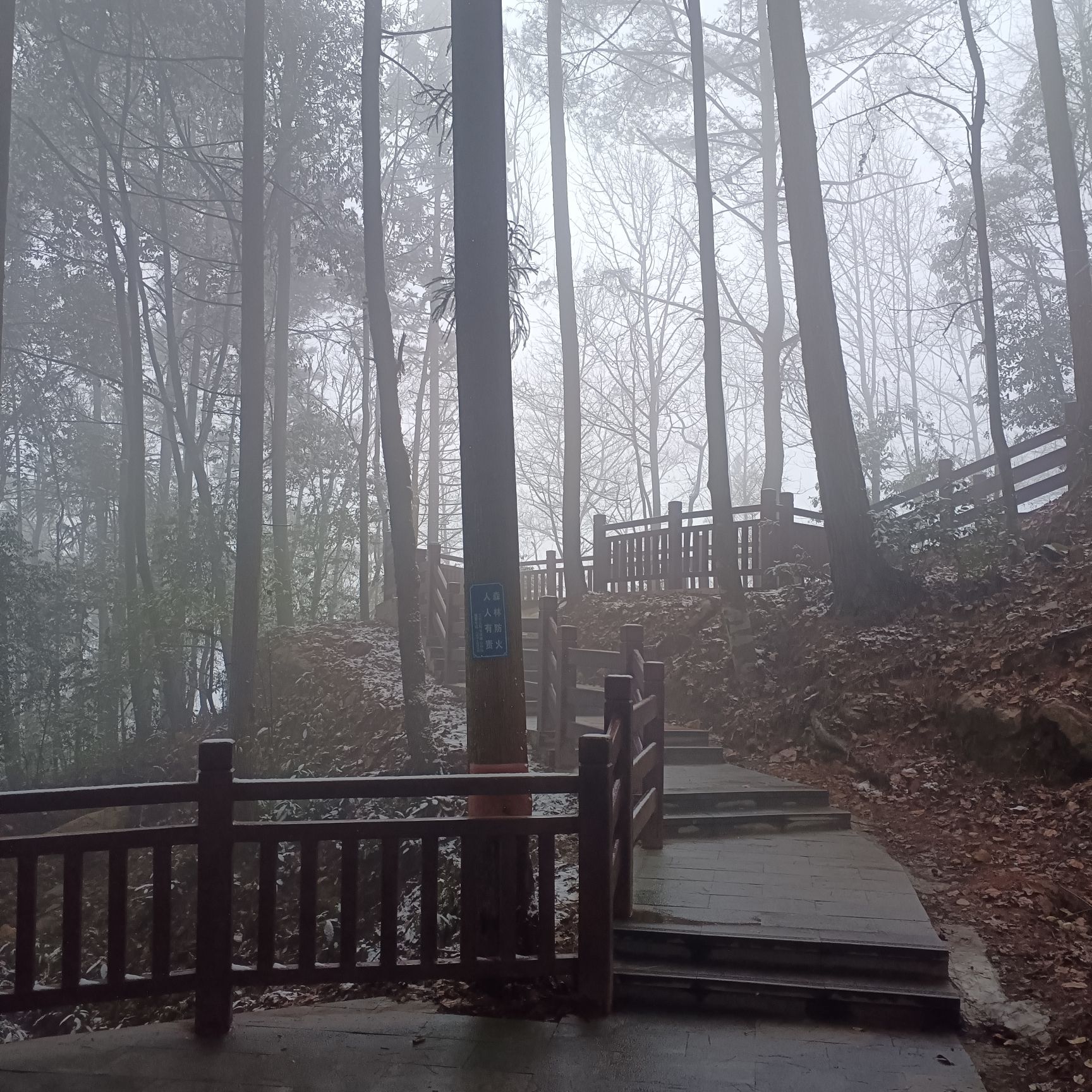 铁峰山国家森林公园旅行图片 3