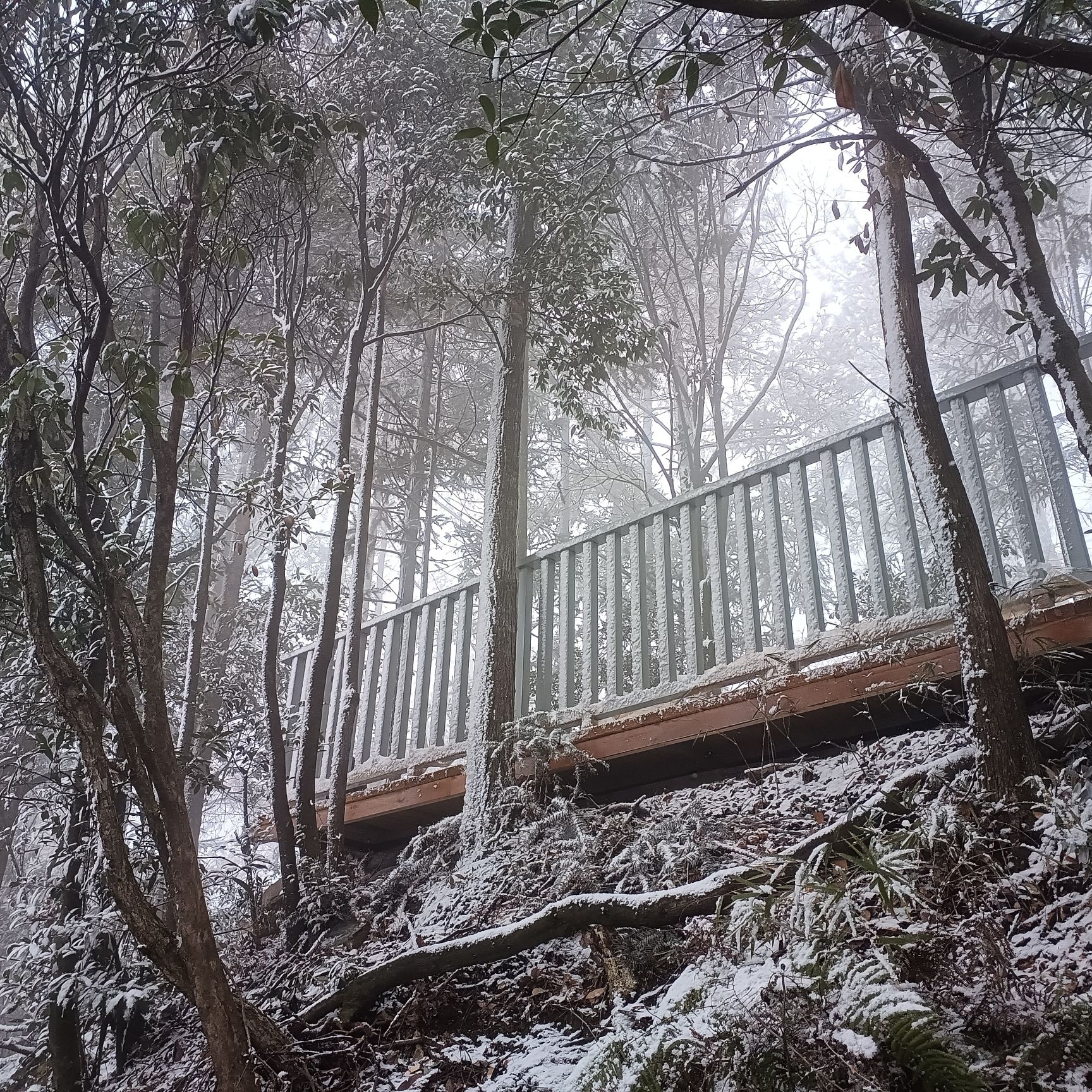 铁峰山国家森林公园旅行图片 1