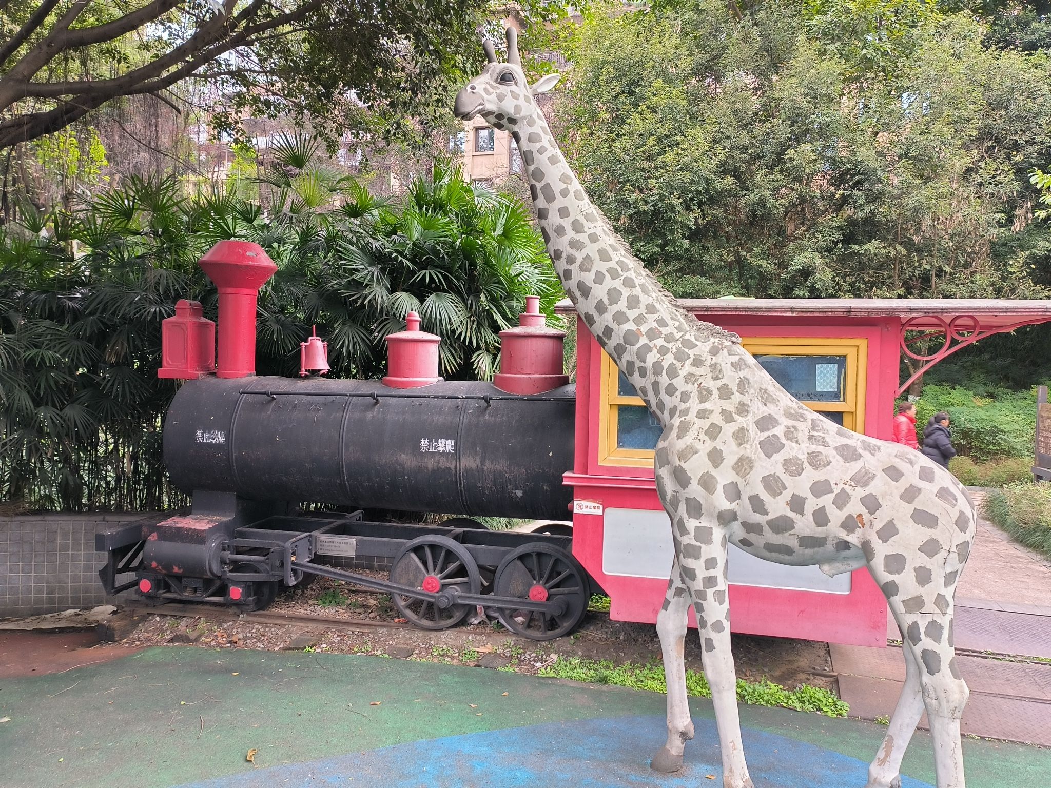 融侨公园旅行图片 3