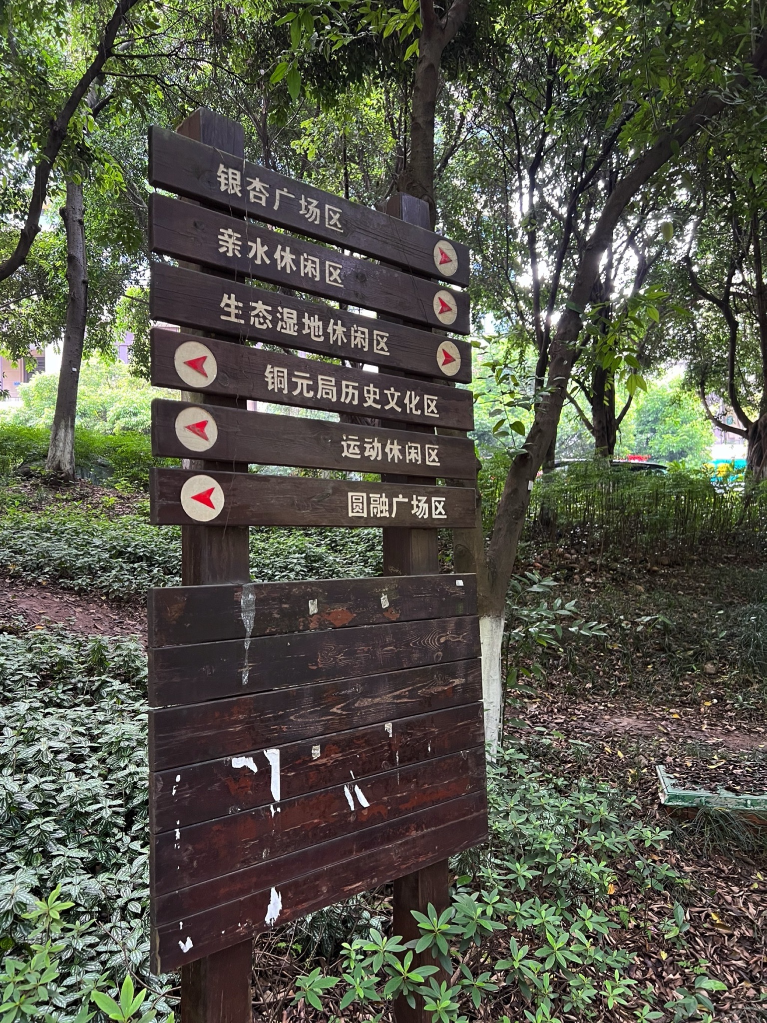 融侨公园旅行图片 1