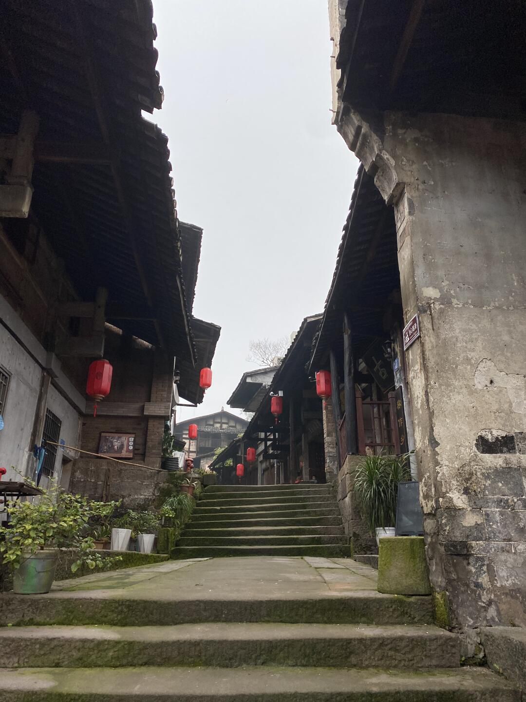 塘河古镇旅行图片 3