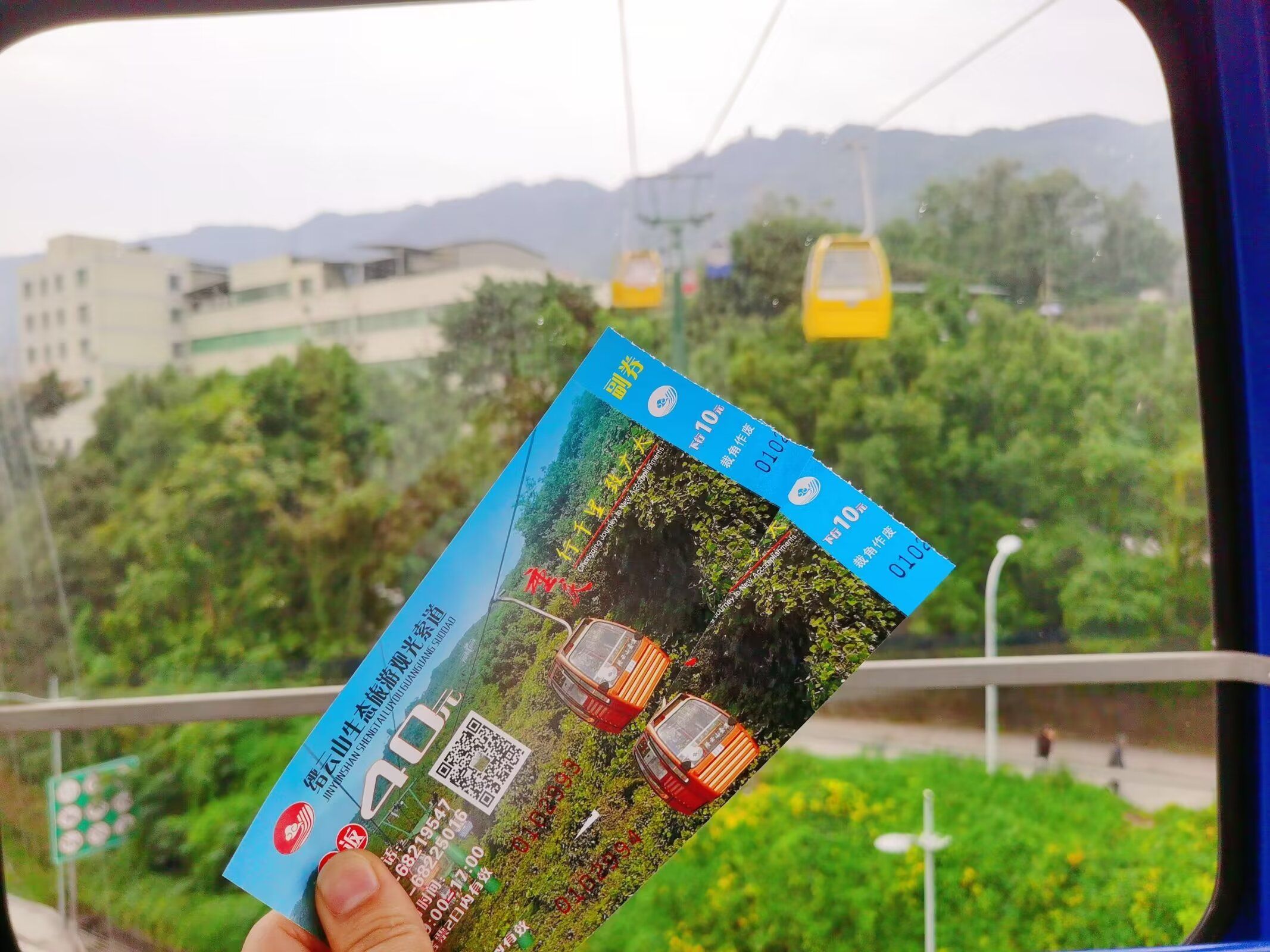 重庆缙云山国家级自然保护区旅行图片 2