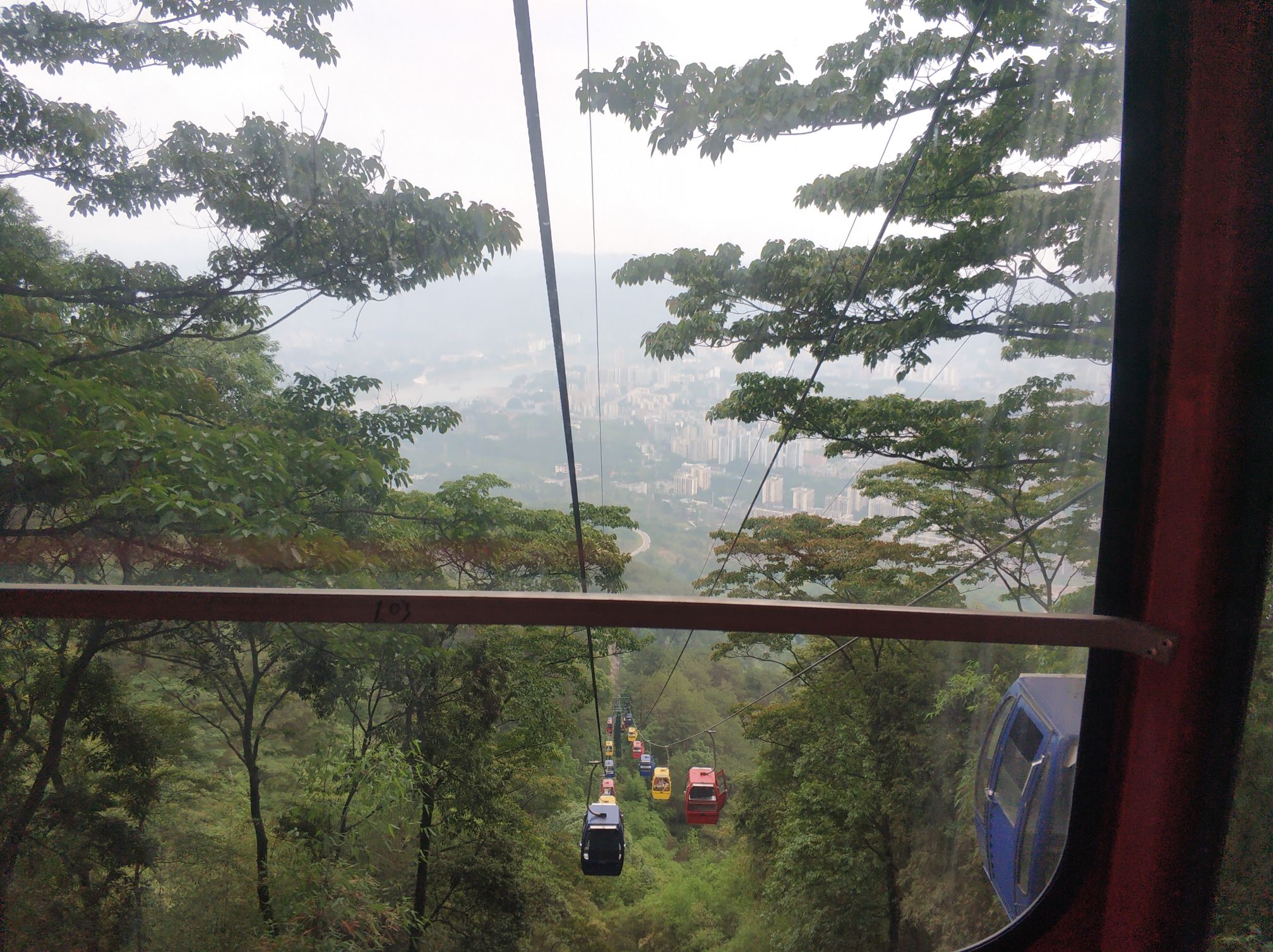 重庆缙云山国家级自然保护区旅行图片 3