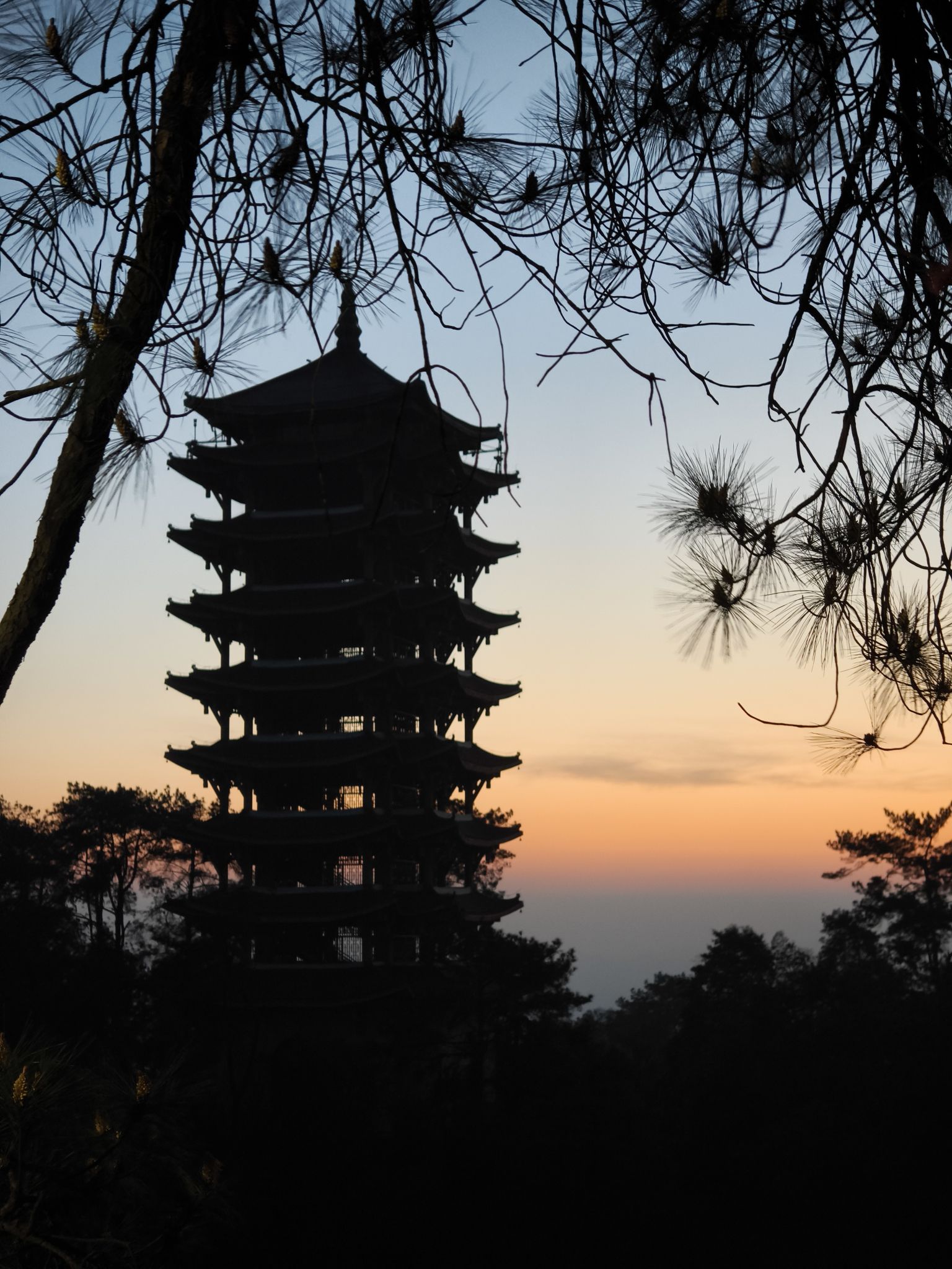 重庆缙云山国家级自然保护区旅行图片 1