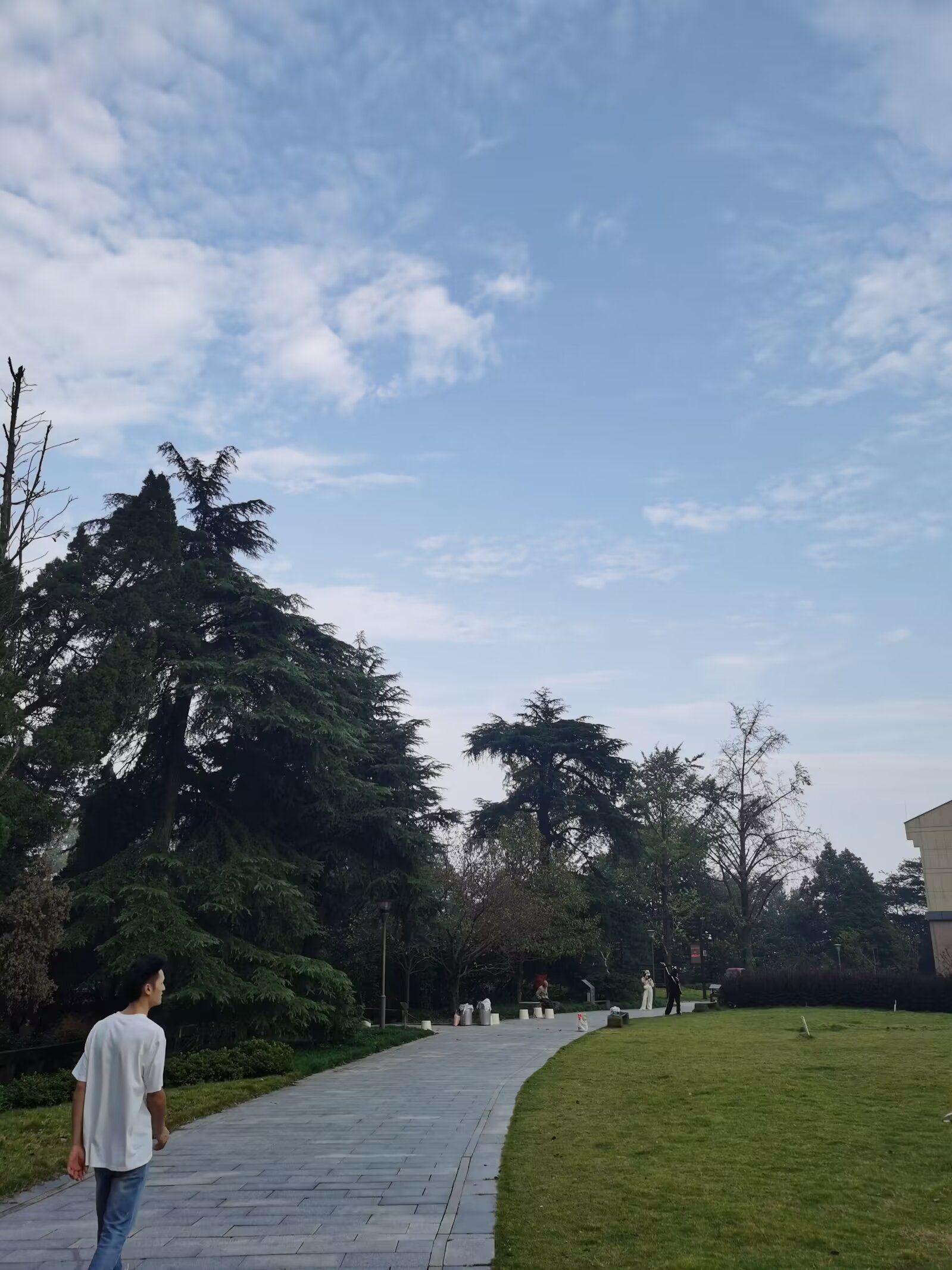 重庆缙云山国家级自然保护区旅行图片 3