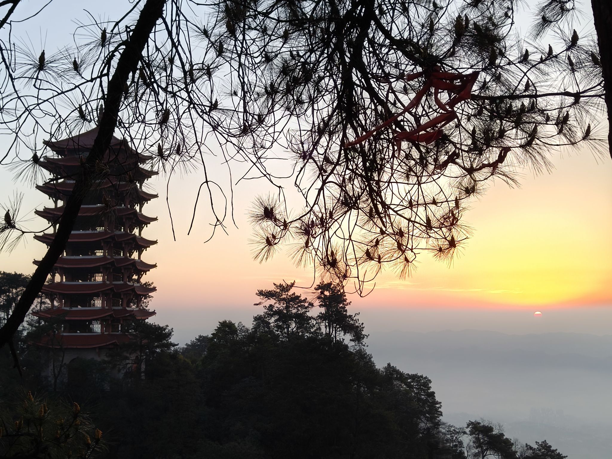 重庆缙云山国家级自然保护区旅行图片 2