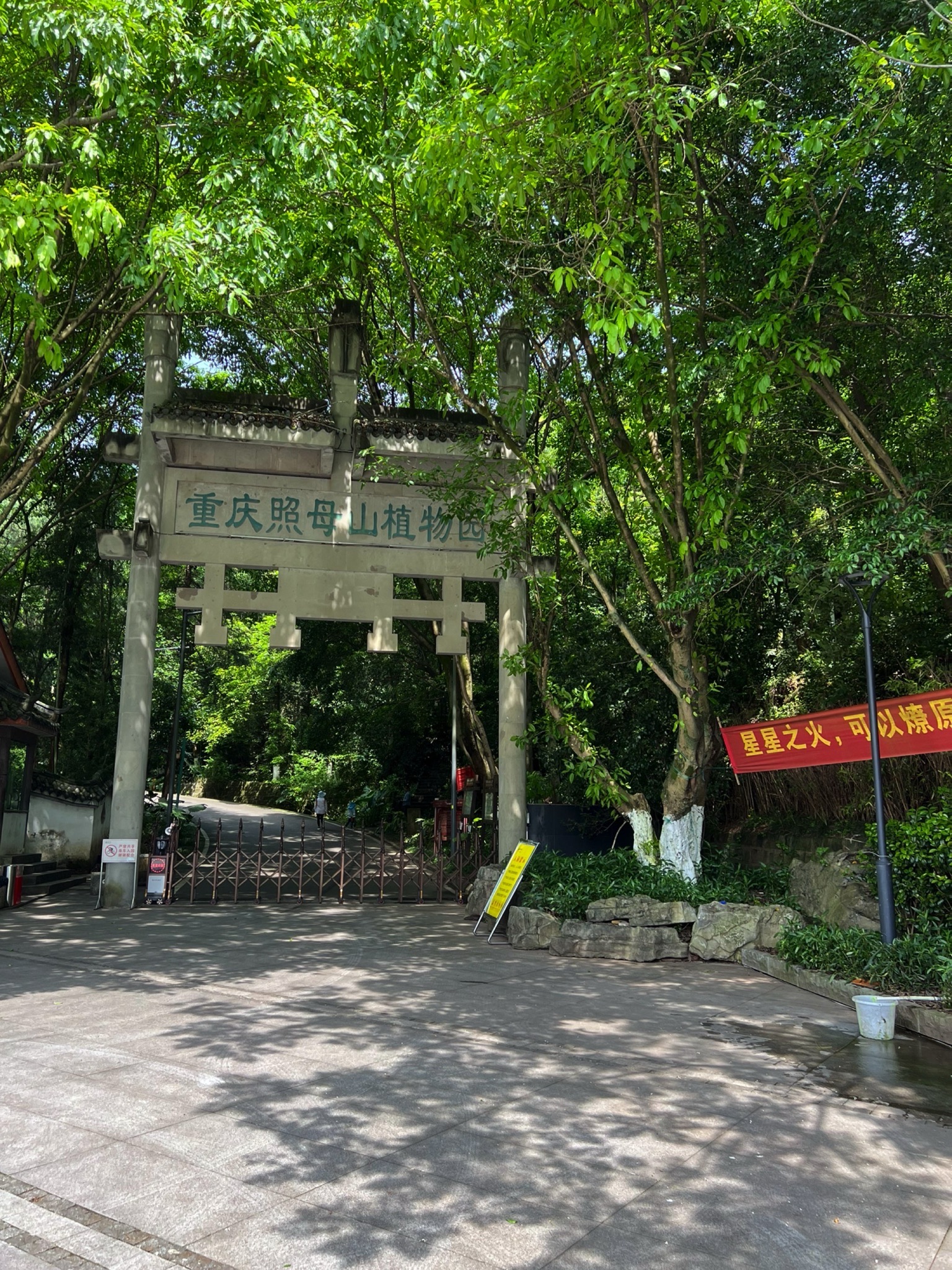 重庆照母山植物园旅行图片 1