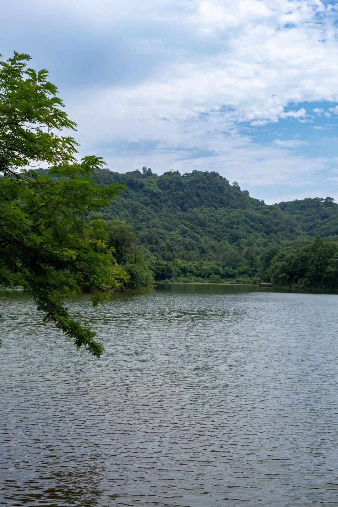 重庆照母山植物园旅行图片 3