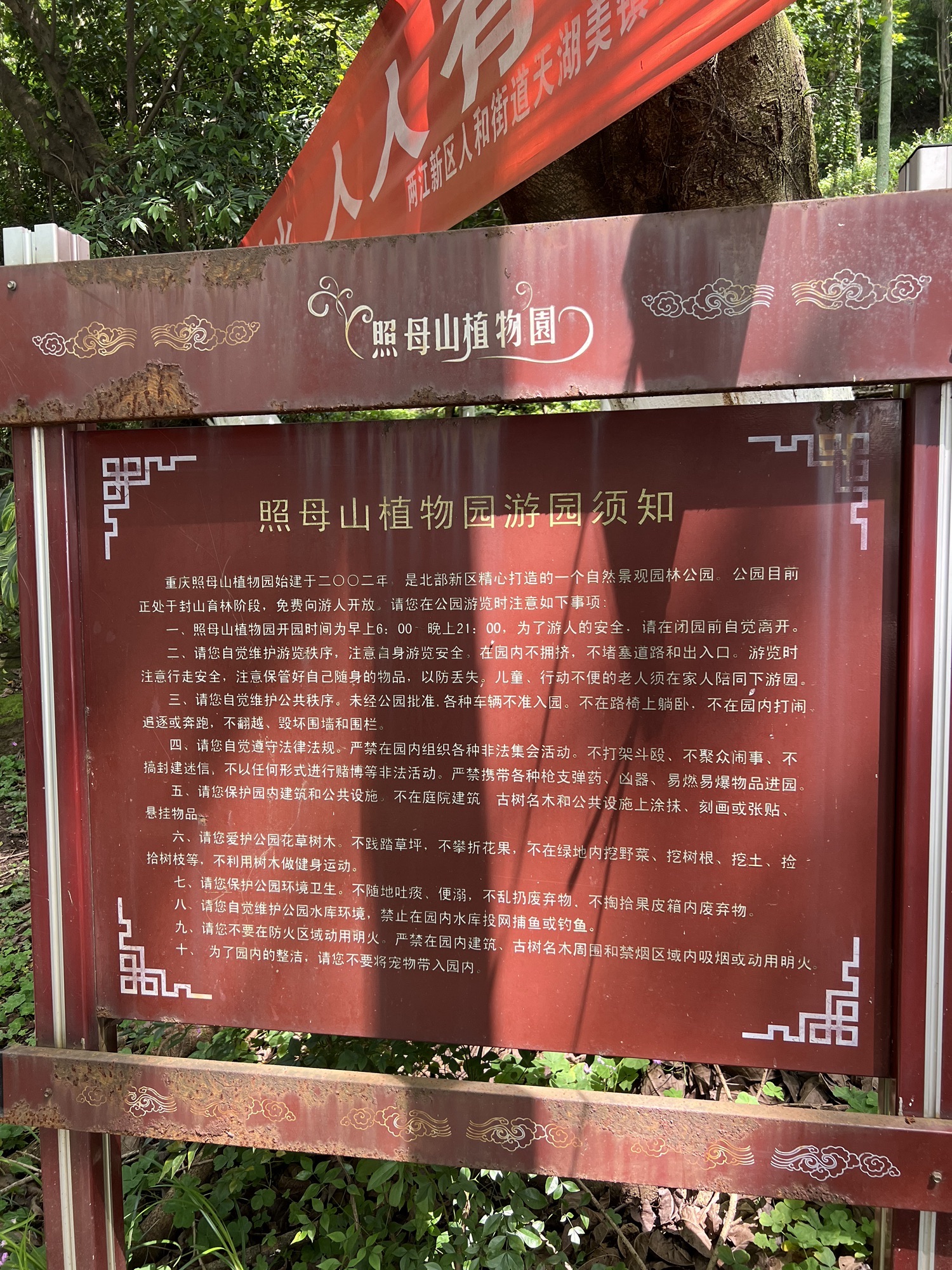 重庆照母山植物园旅行图片 3
