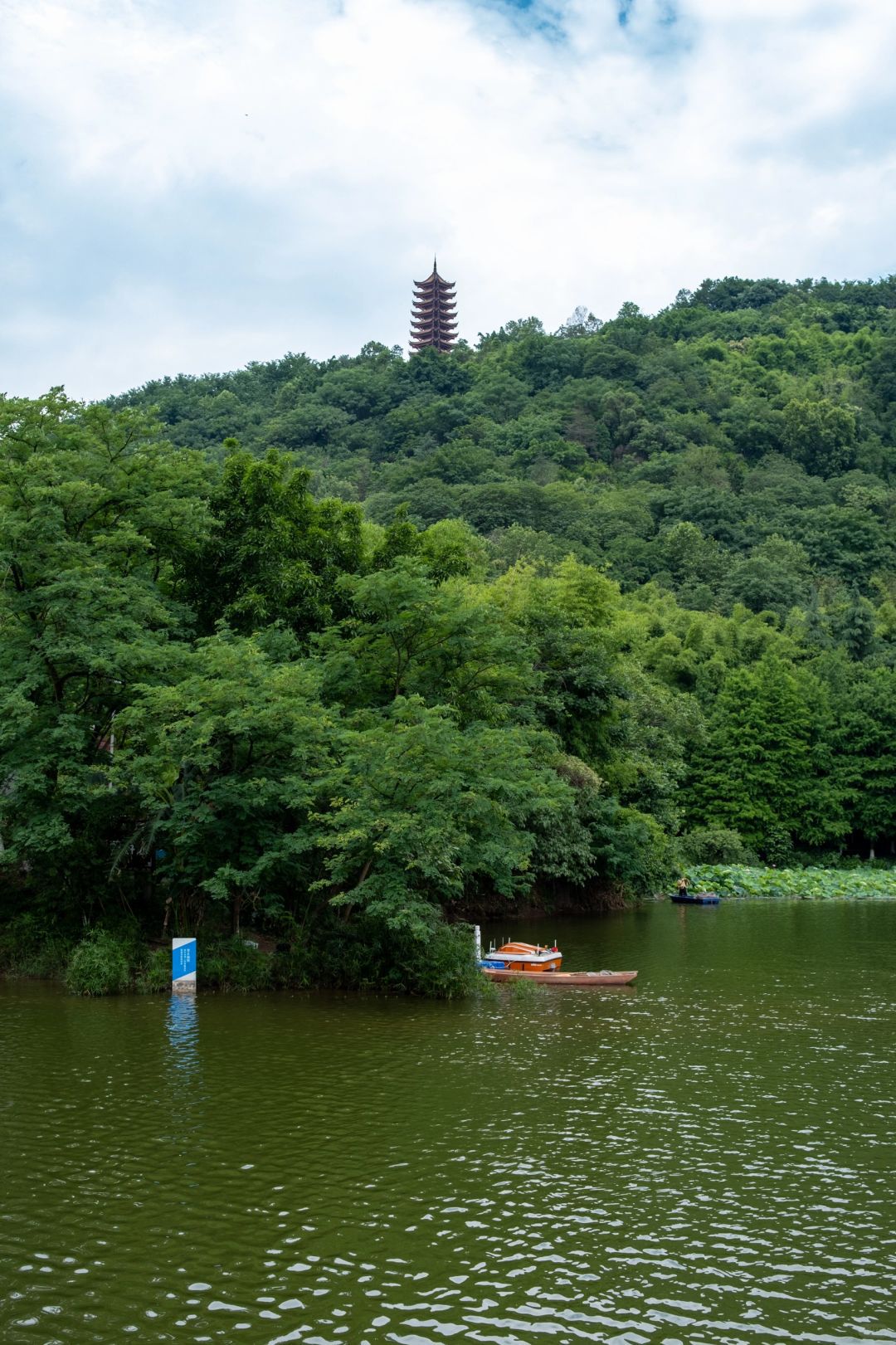 重庆照母山植物园旅行图片 1