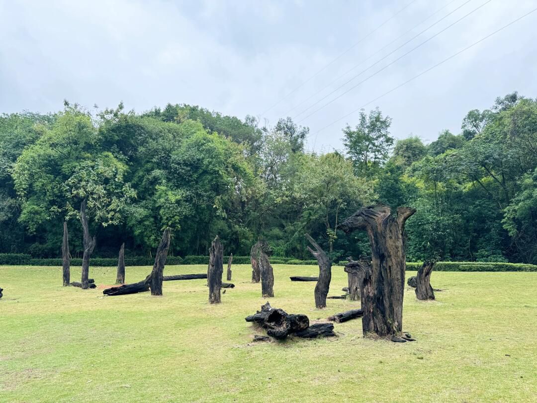 重庆照母山植物园旅行图片 1