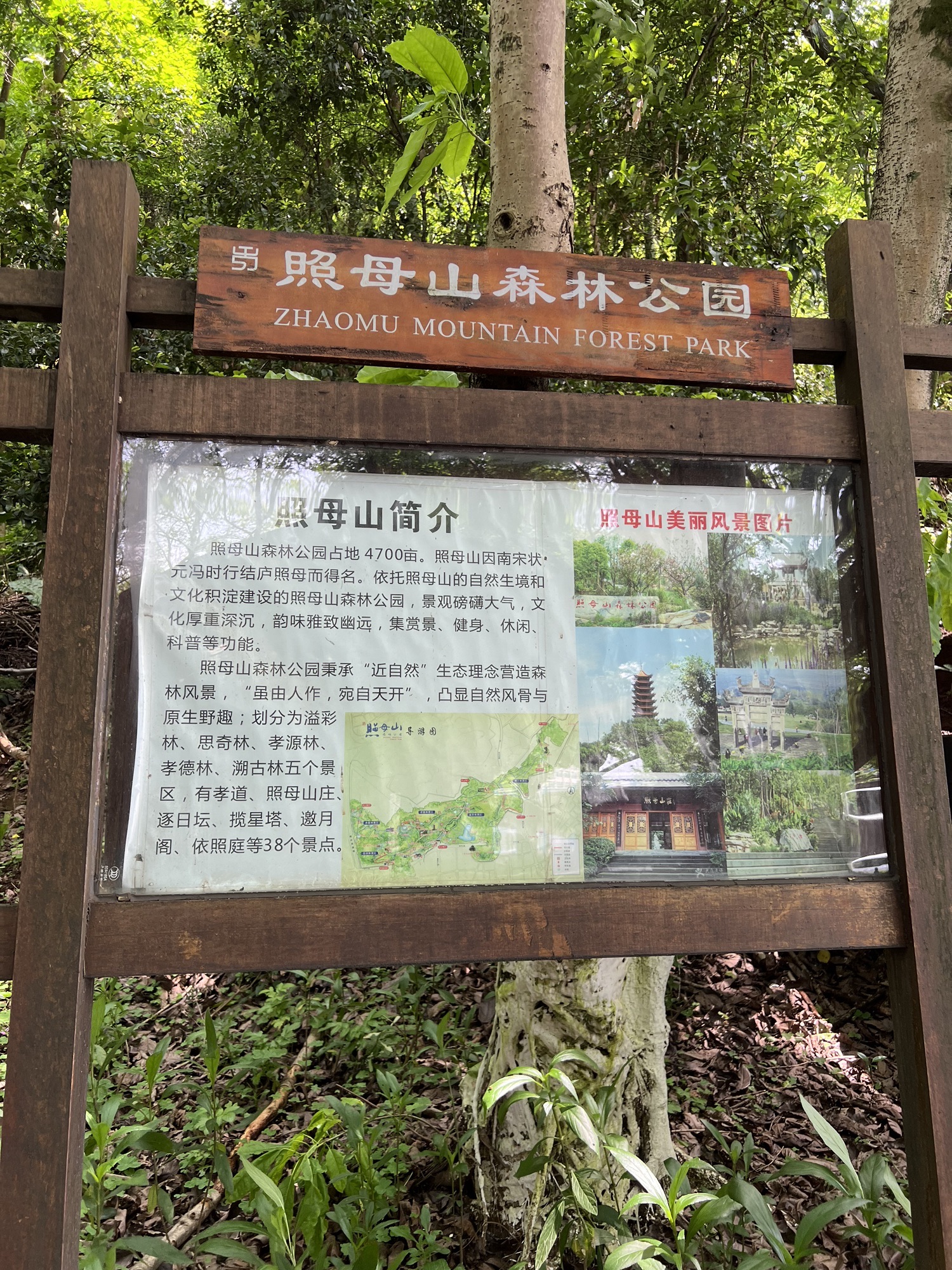 重庆照母山植物园旅行图片 2