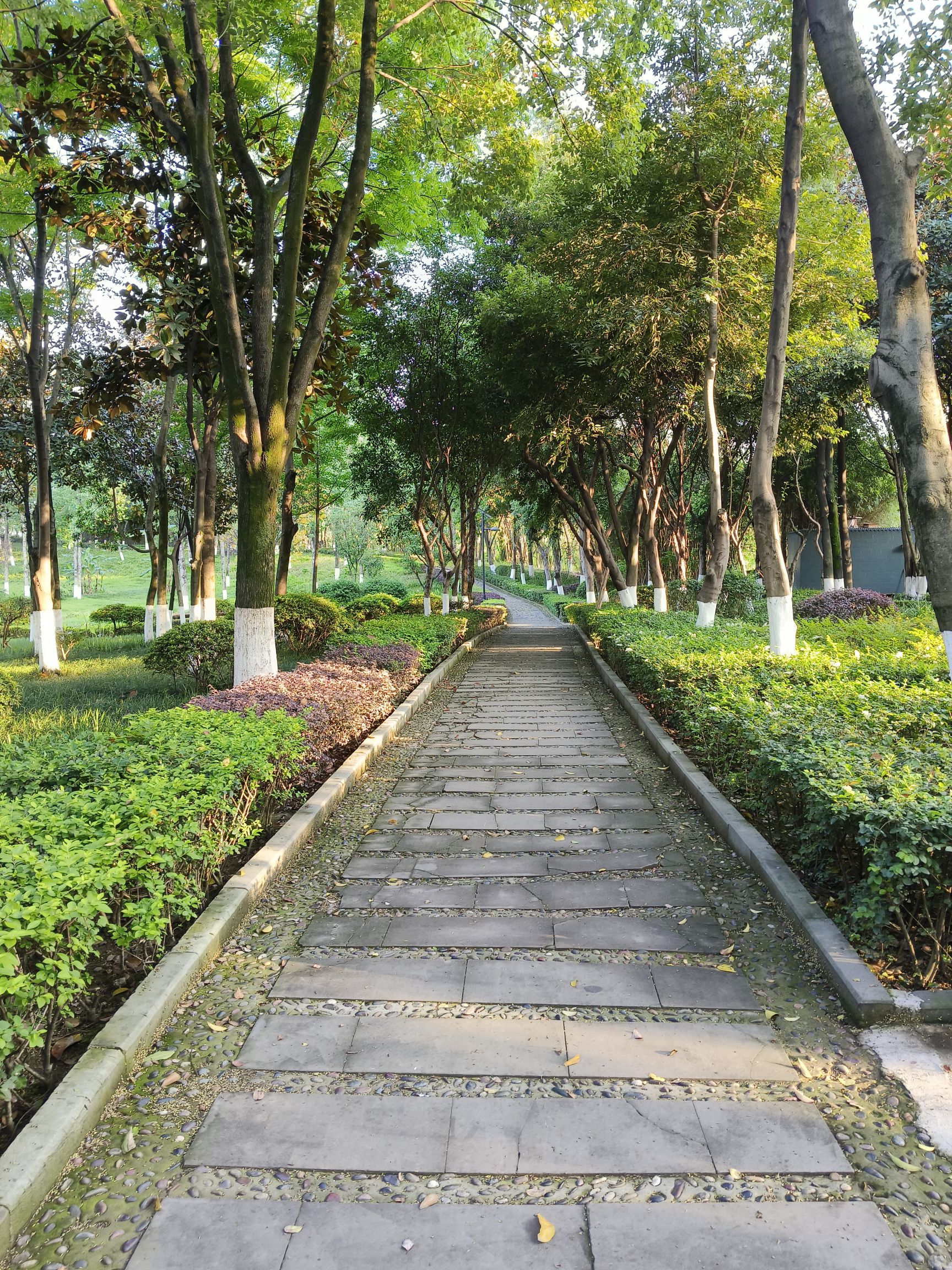 天宫殿公园(泰山大道中段)旅行图片 3