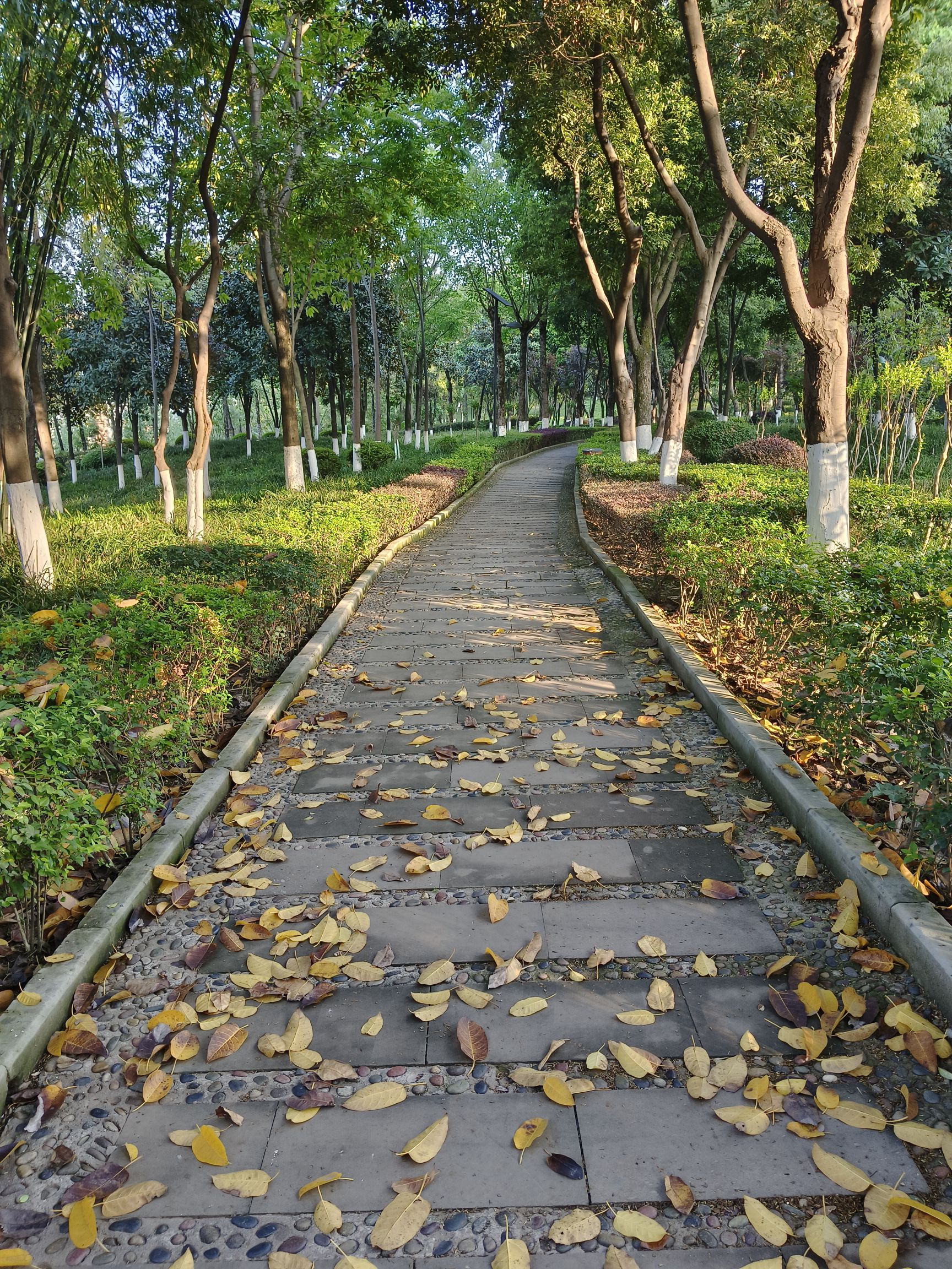 天宫殿公园(泰山大道中段)旅行图片 2