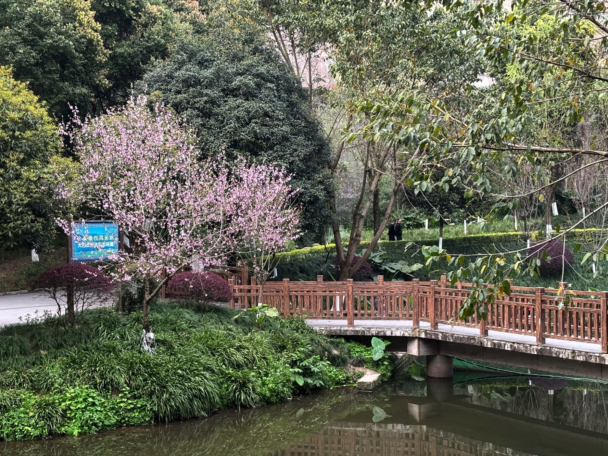 盘溪河公园旅行图片 1