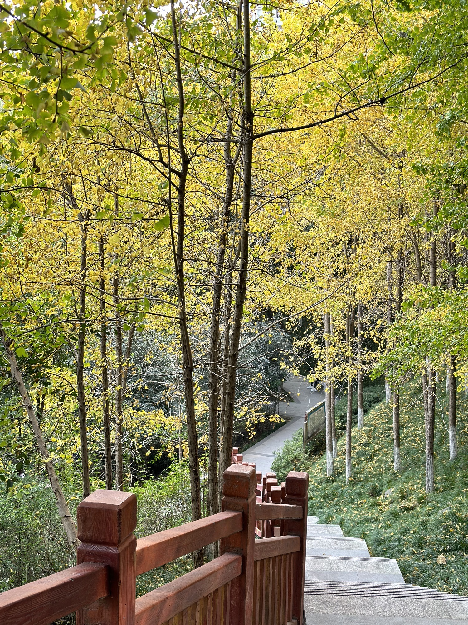 盘溪河公园旅行图片 3