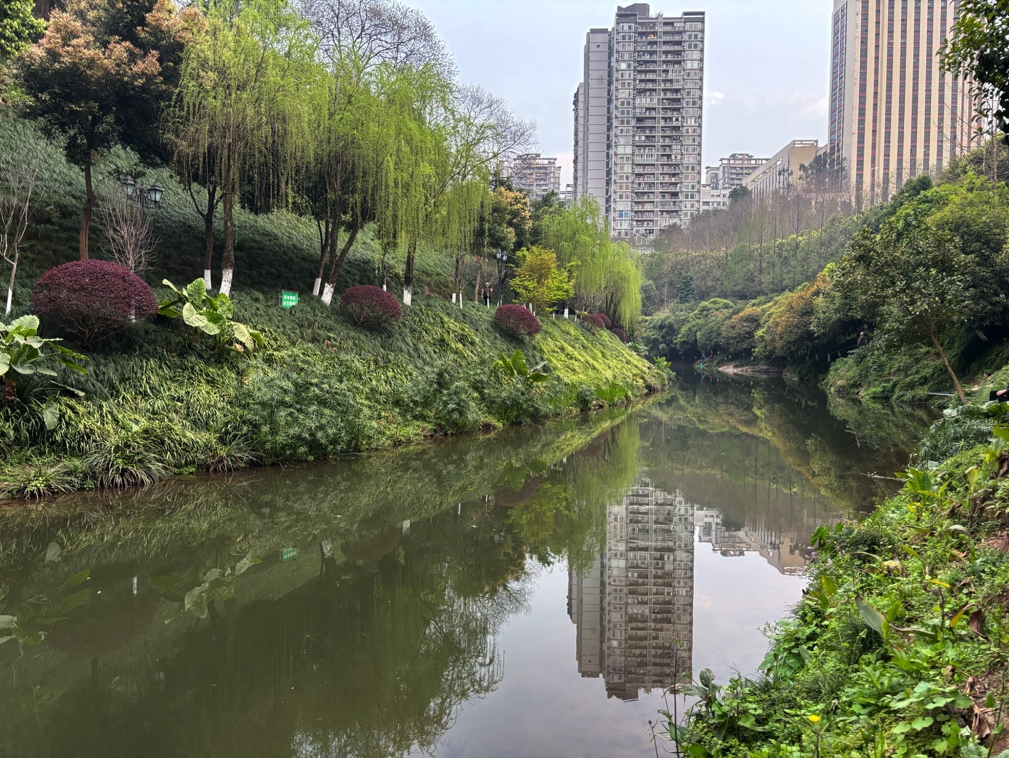 盘溪河公园旅行图片 3
