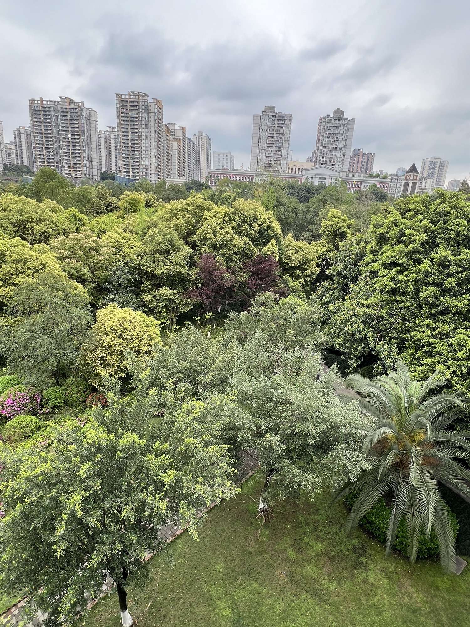 盘溪河公园旅行图片 2