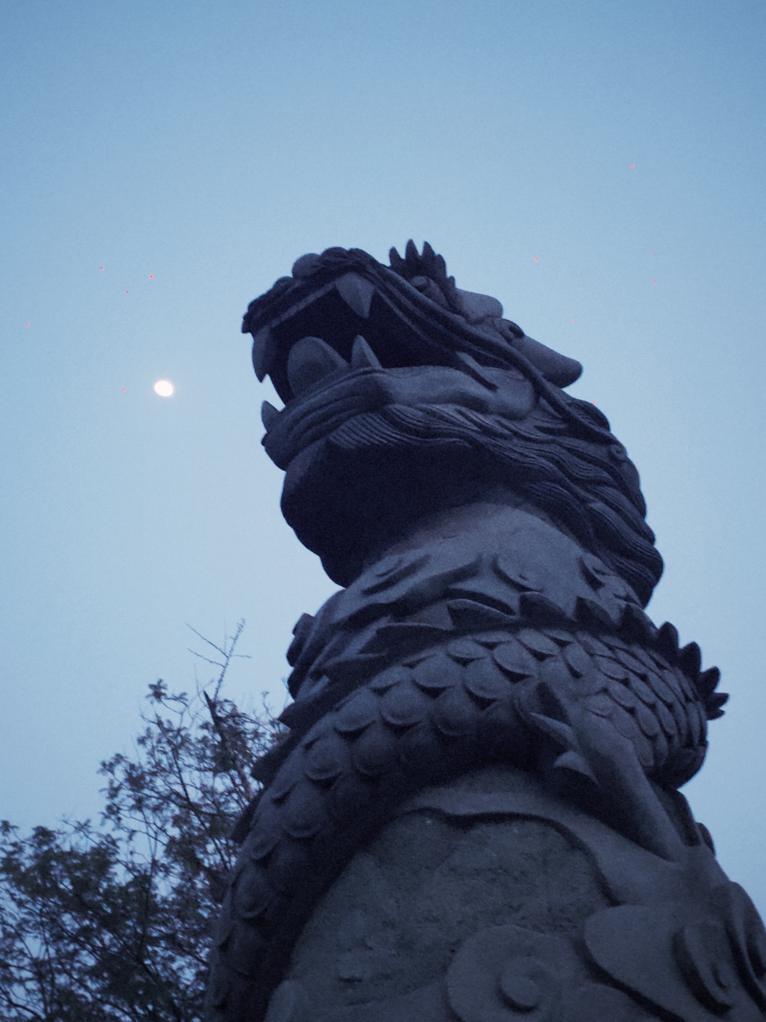 鸿恩寺森林公园旅行图片 2