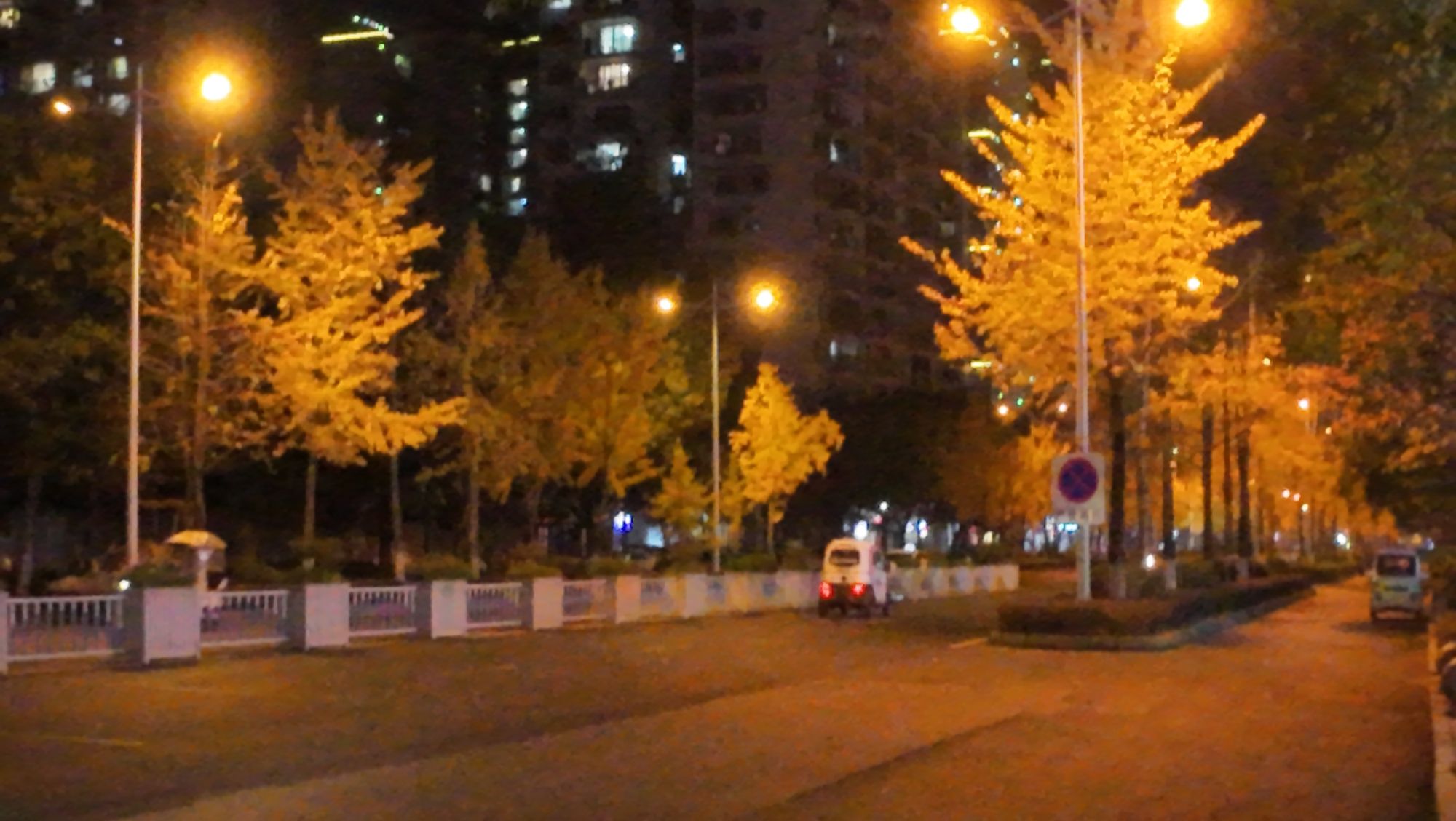 鸿恩寺森林公园旅行图片 1