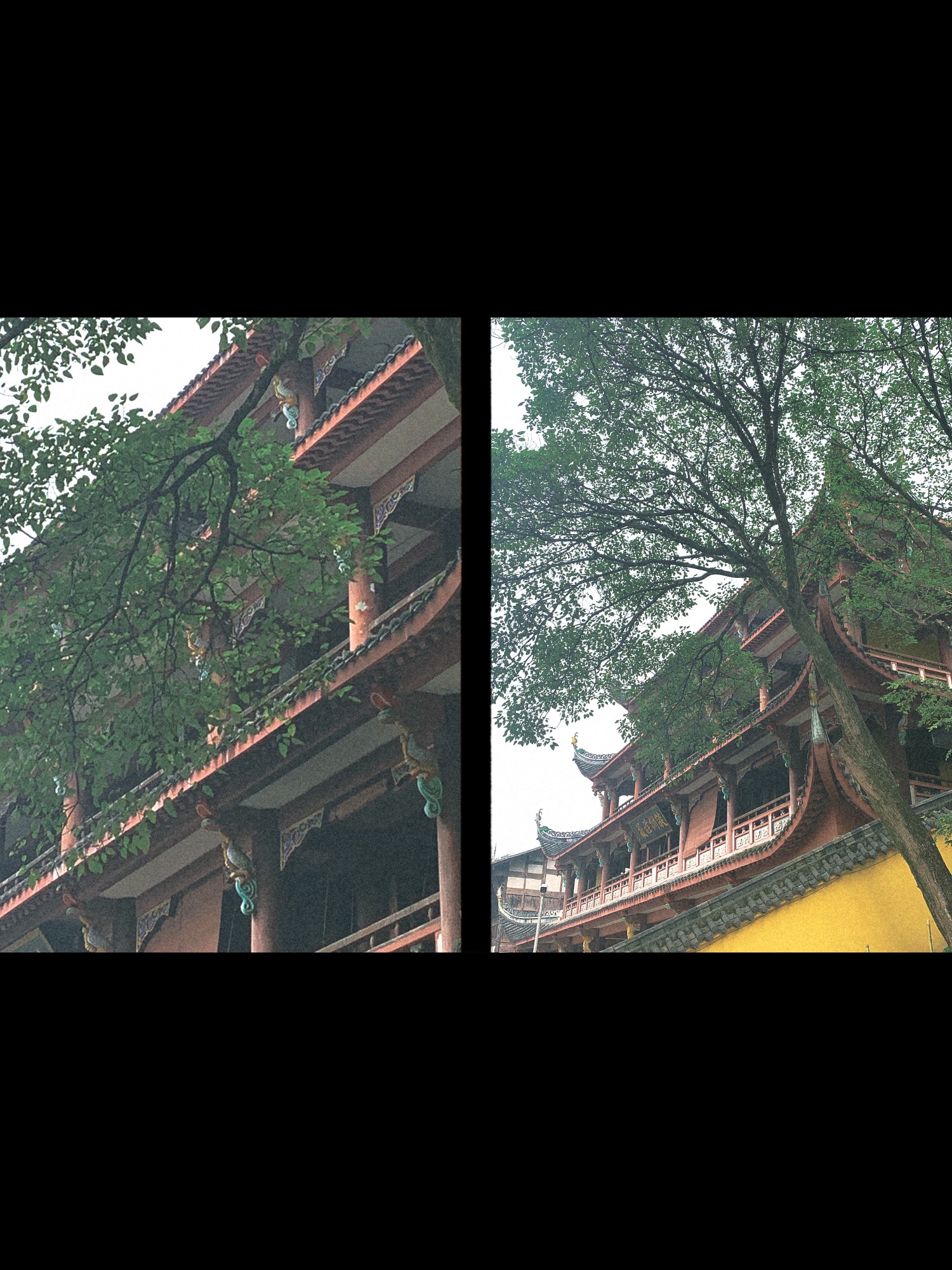 清水溪健身公园旅行图片 2
