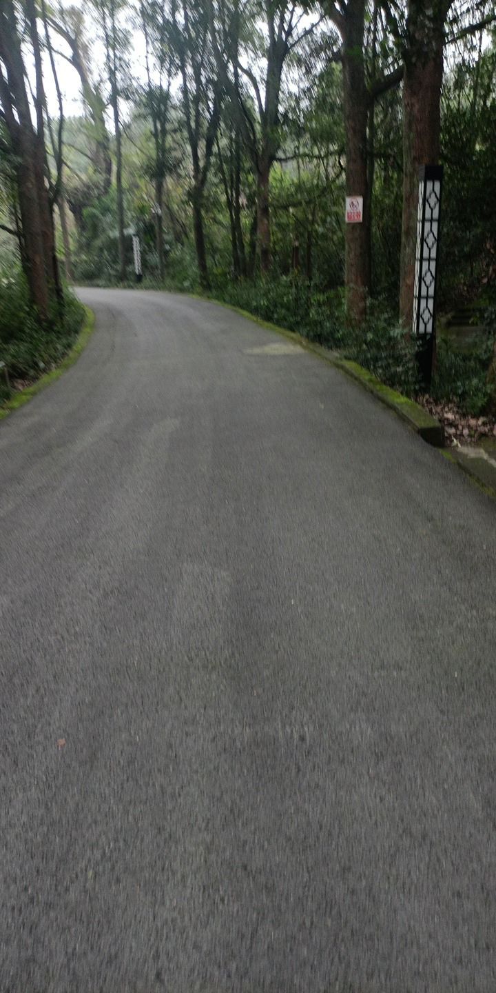 渝西植物园旅行图片 2