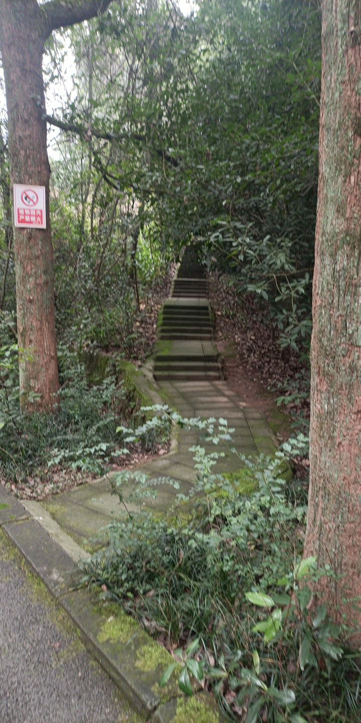 渝西植物园旅行图片 1