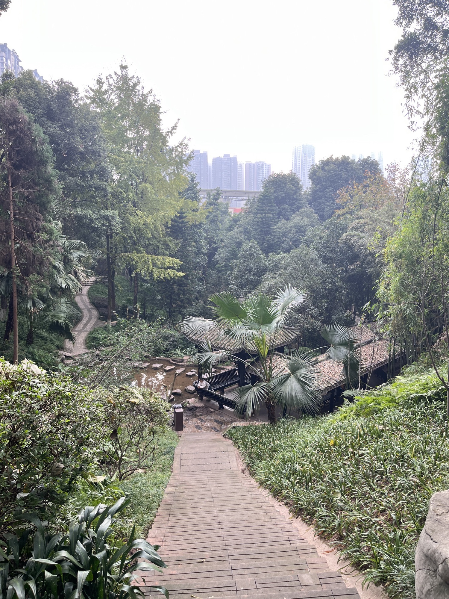 中华美德公园旅行图片 2