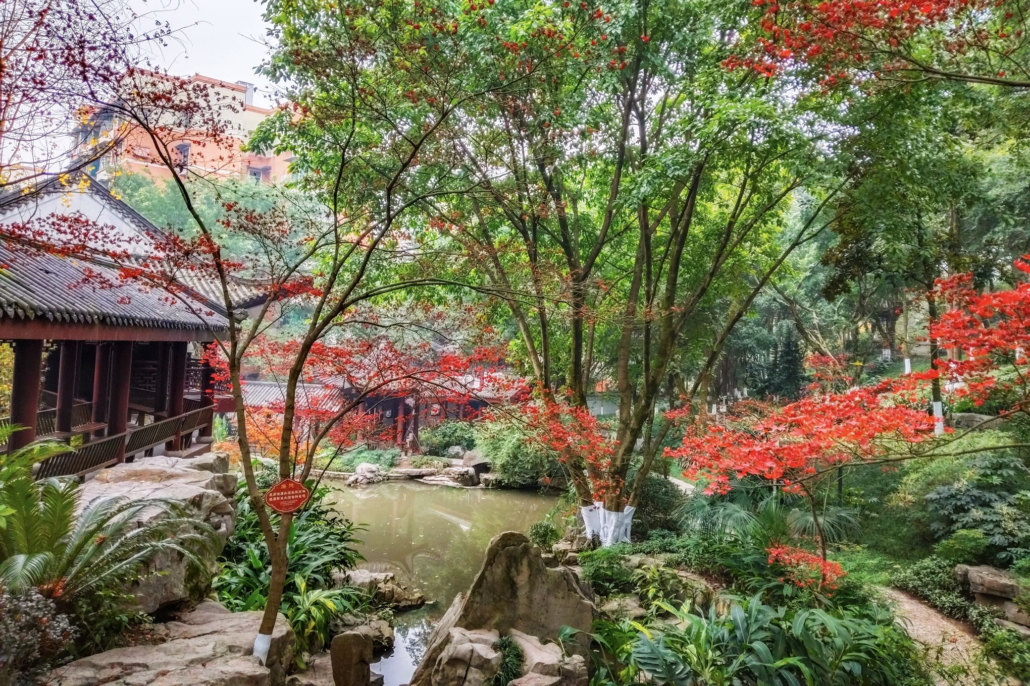 中华美德公园旅行图片 1