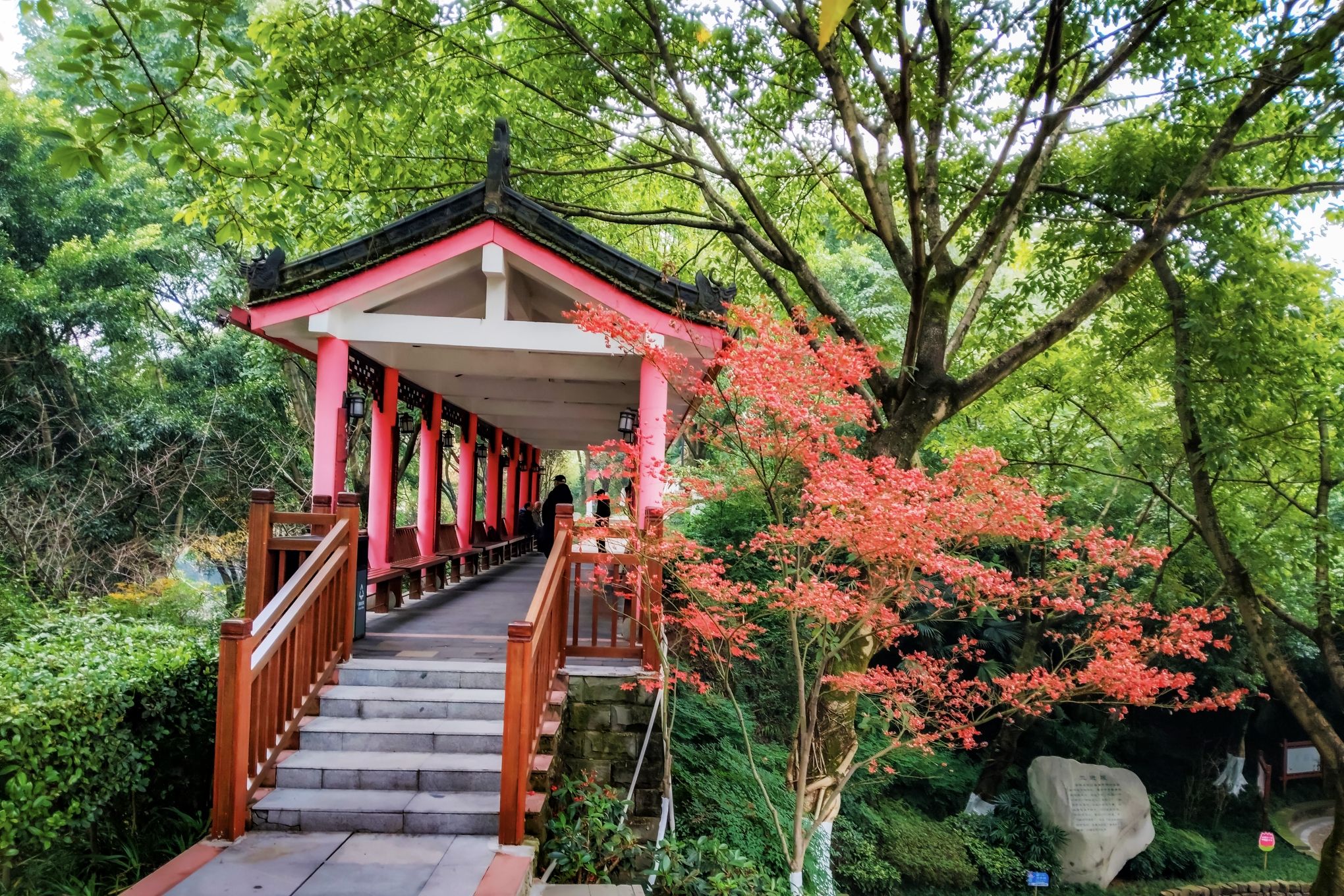中华美德公园旅行图片 3
