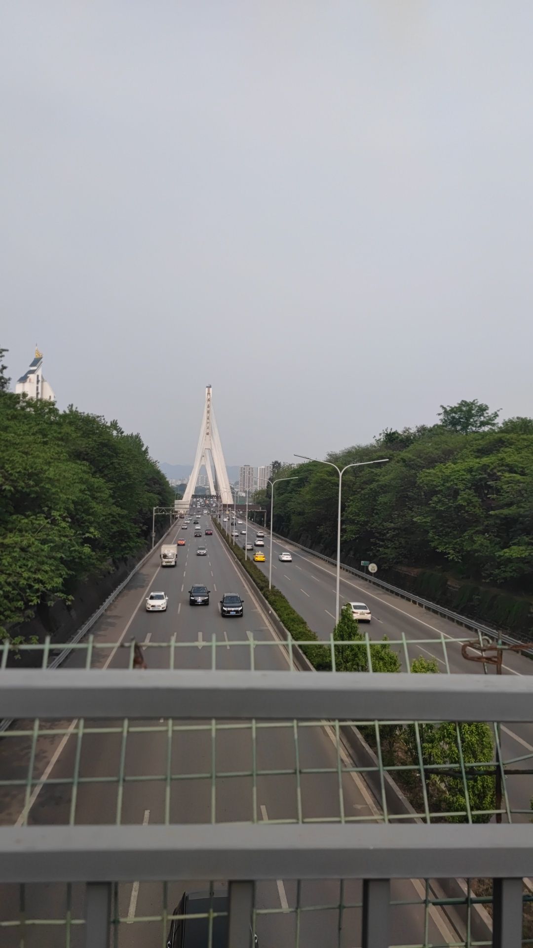 大渡口区义渡公园旅行图片 2
