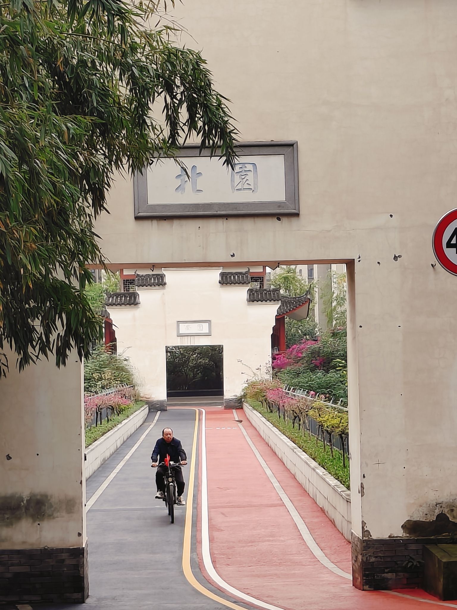 大渡口区义渡公园旅行图片 1