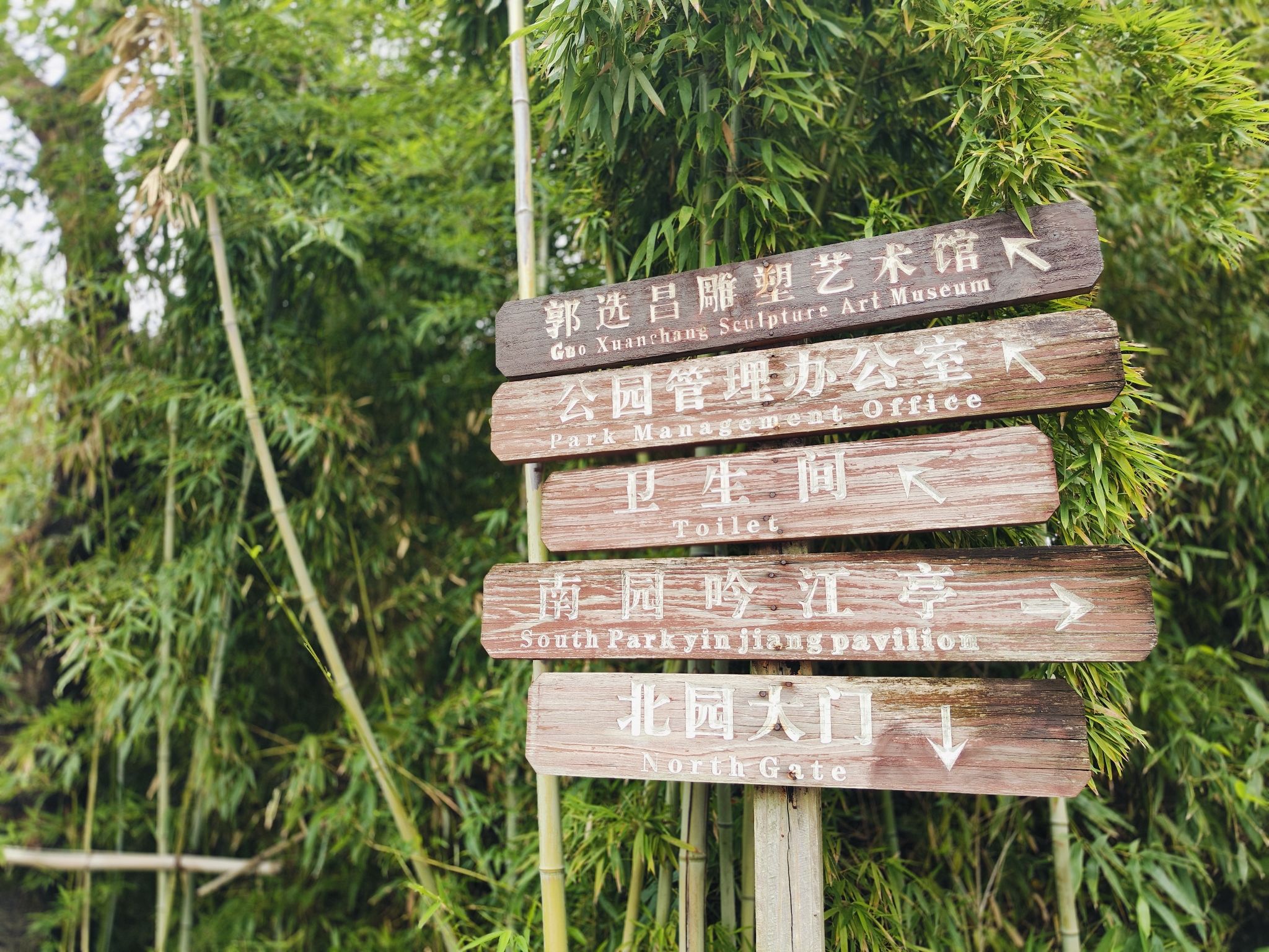 大渡口区义渡公园旅行图片 2
