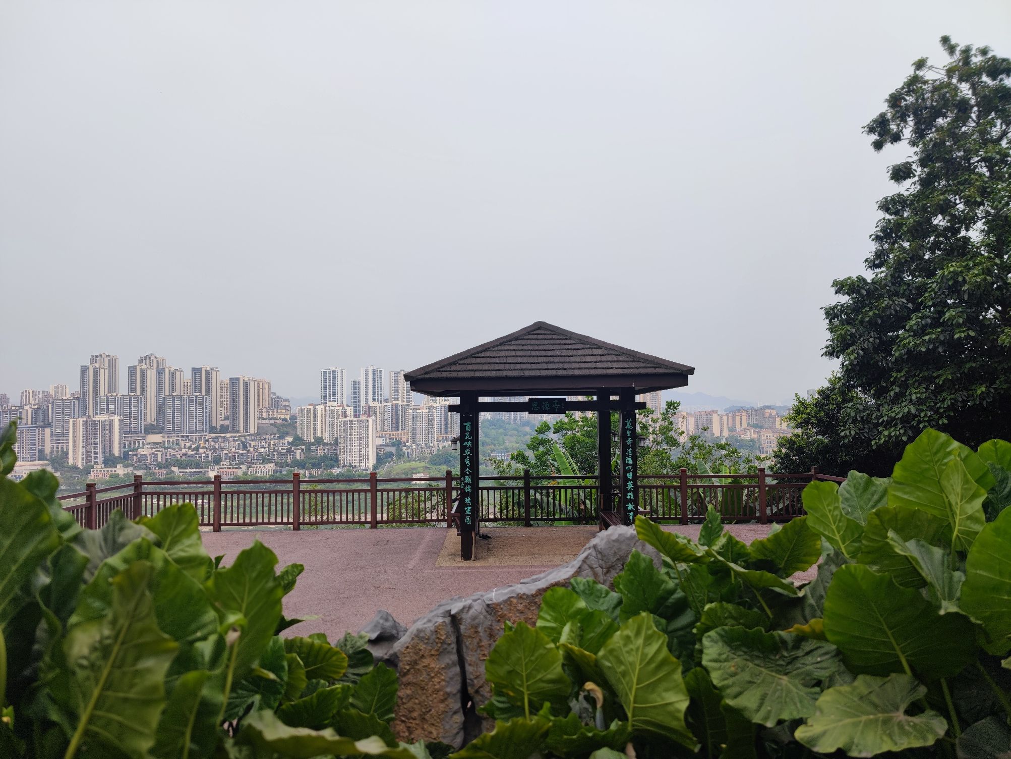 思源公园旅行图片 2