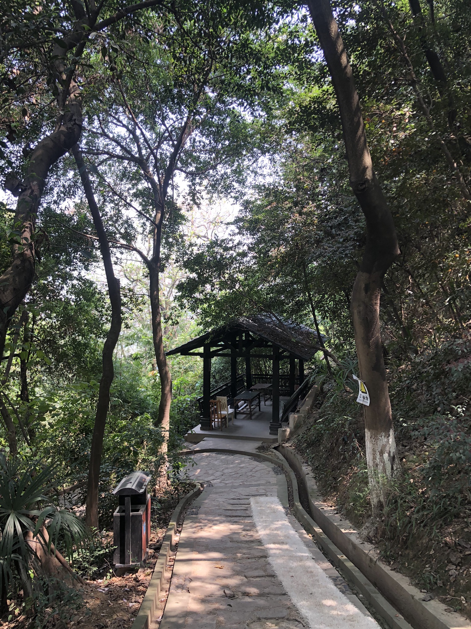 广厦城·玉龙公园旅行图片 3