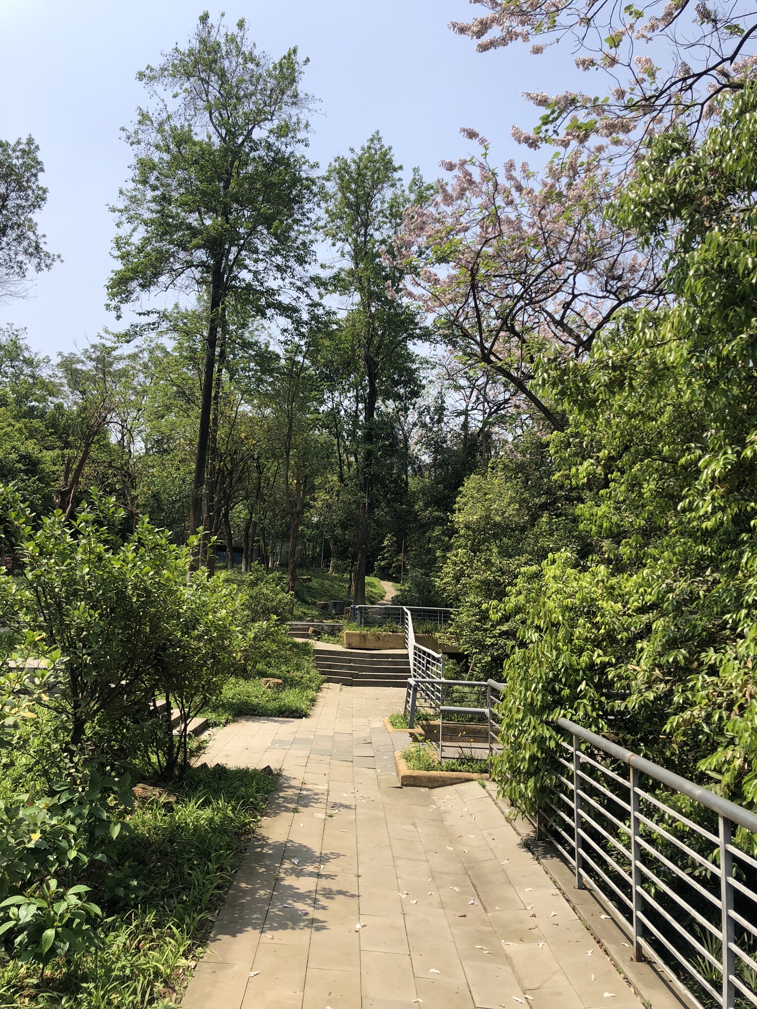 广厦城·玉龙公园旅行图片 2