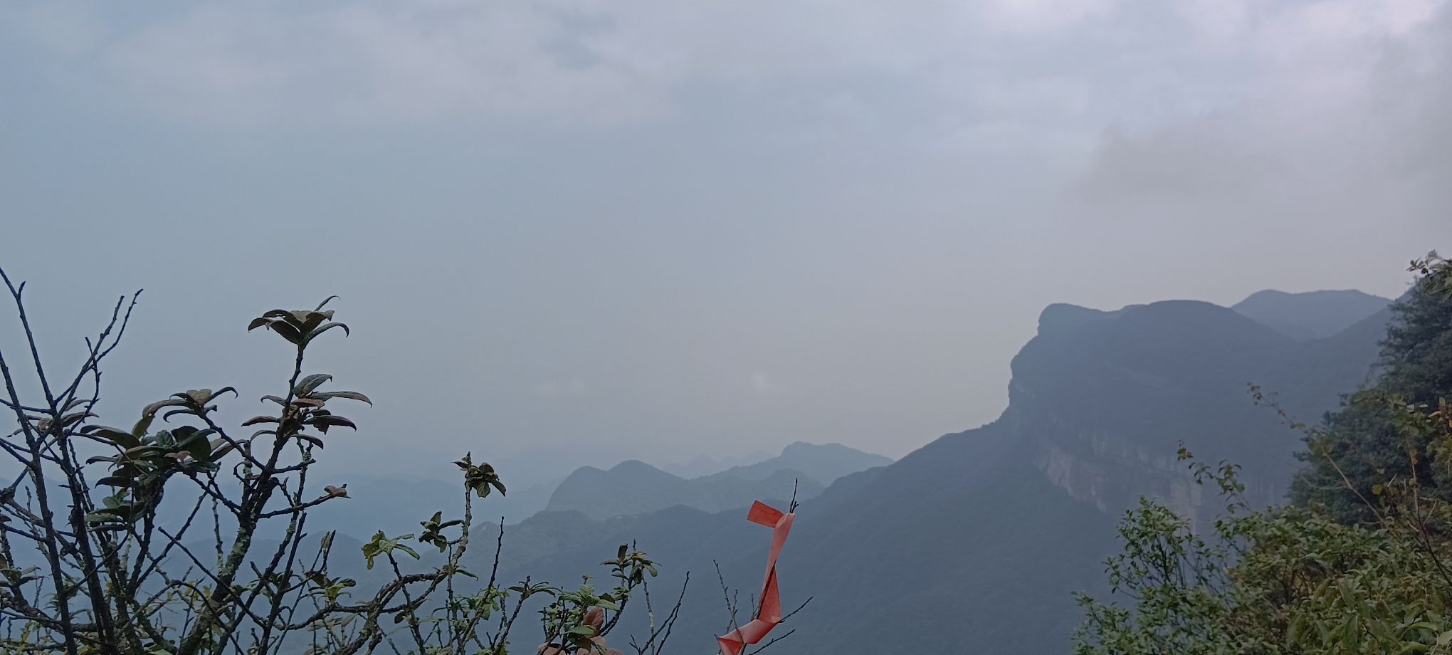 金佛山国家风景名胜区旅行图片 2