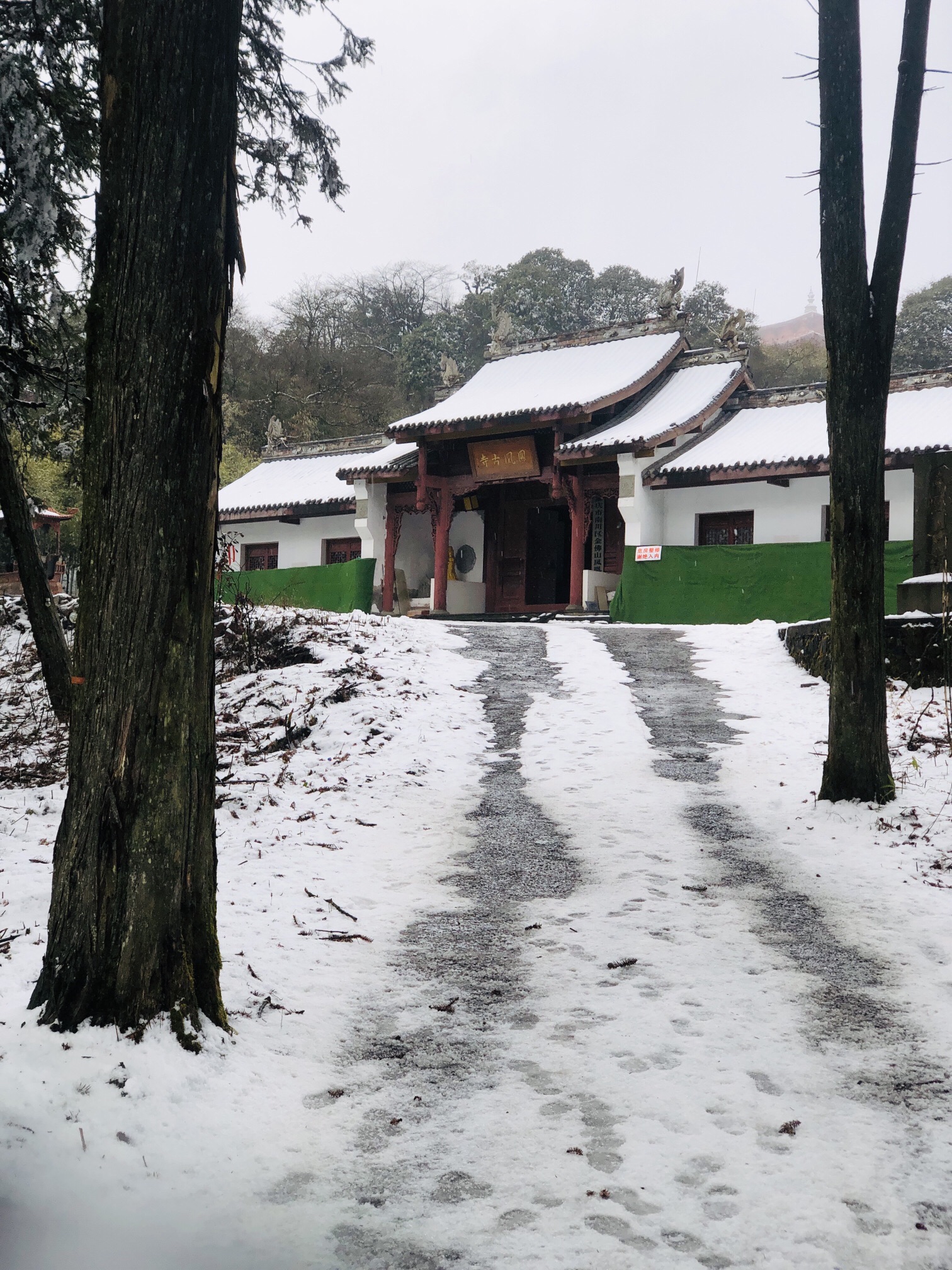金佛山国家风景名胜区旅行图片 1